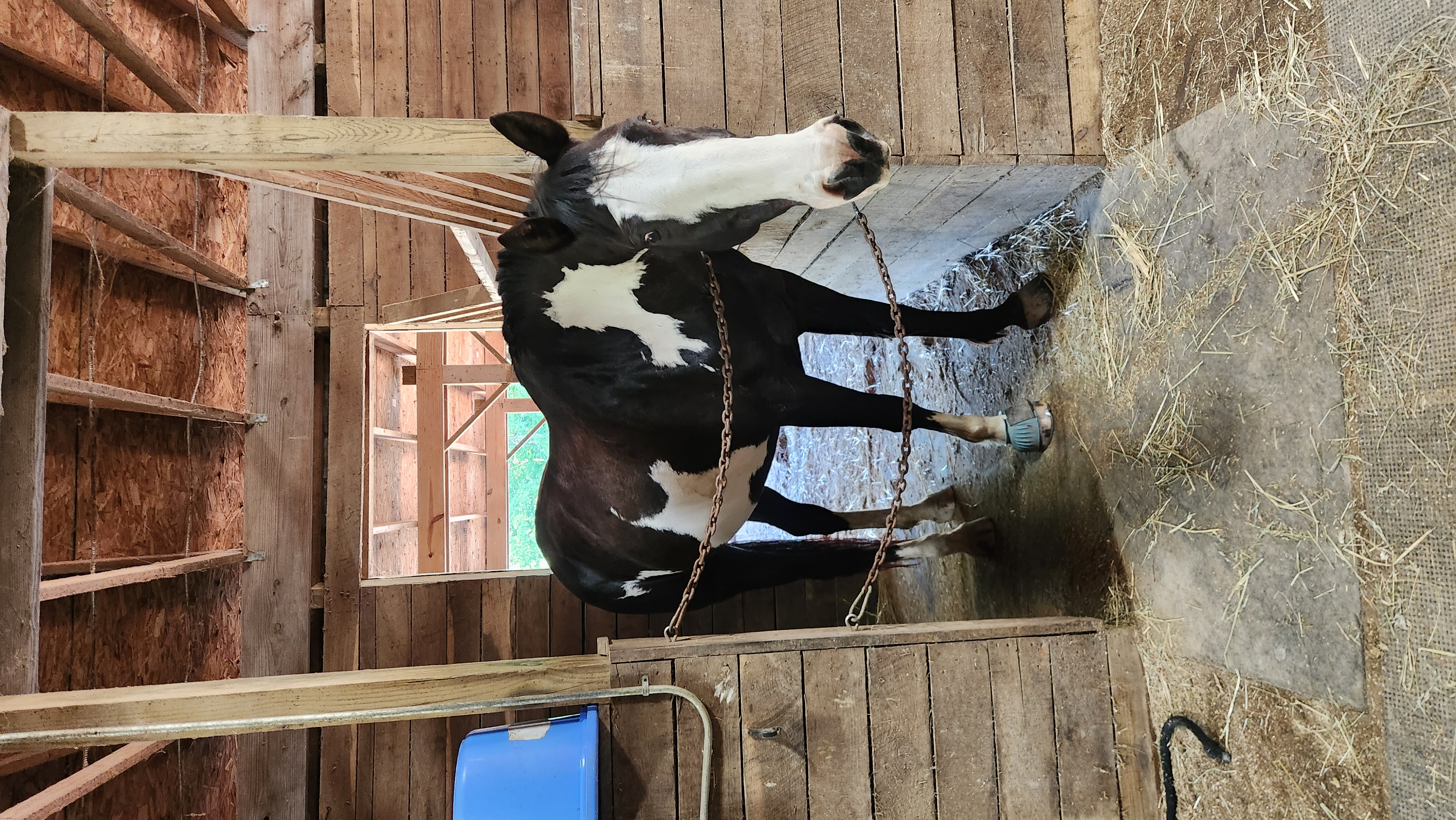 Stall Front