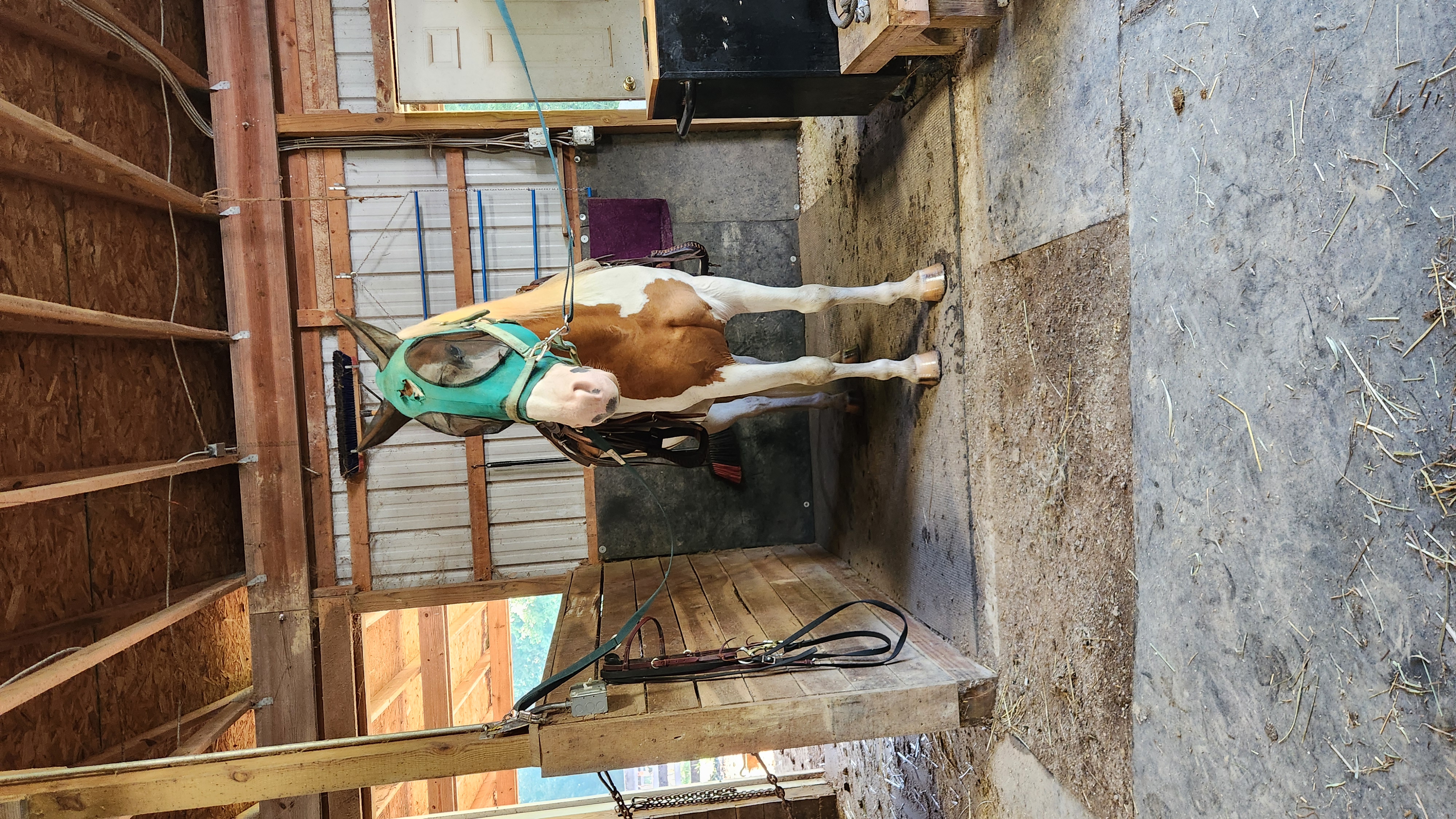 Grooming Station