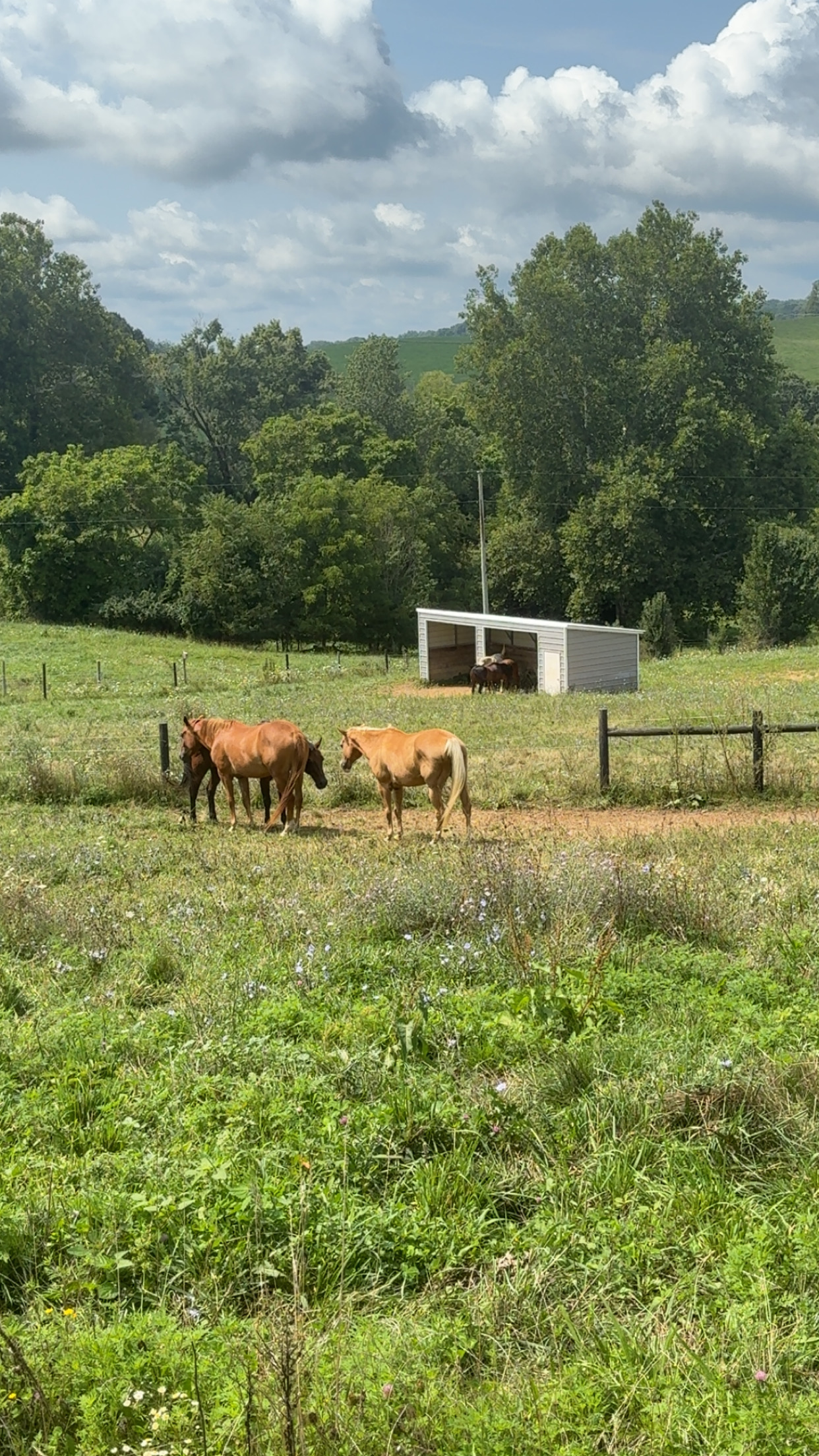 Some of our spacious fields