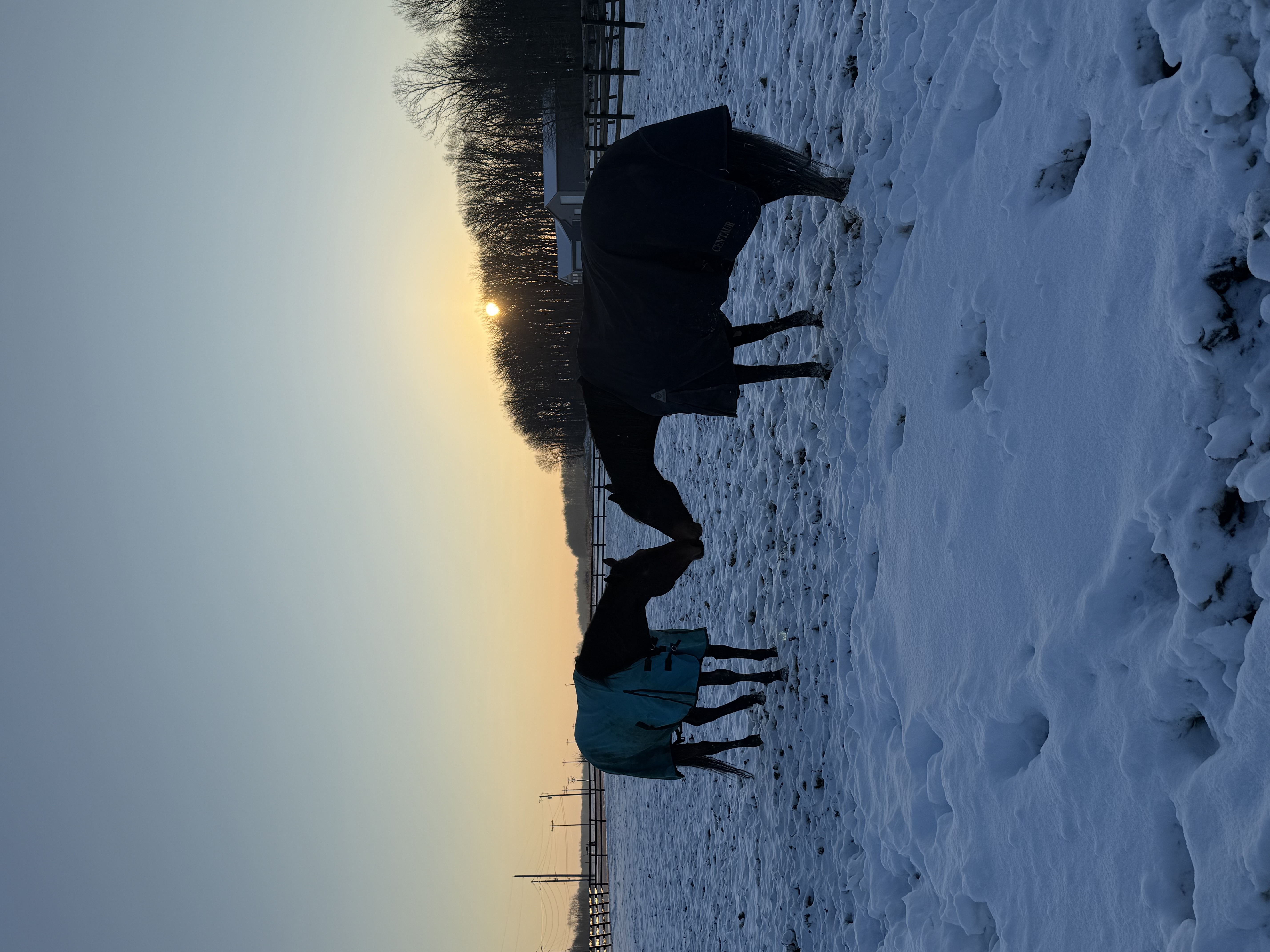 Winter Turnout
