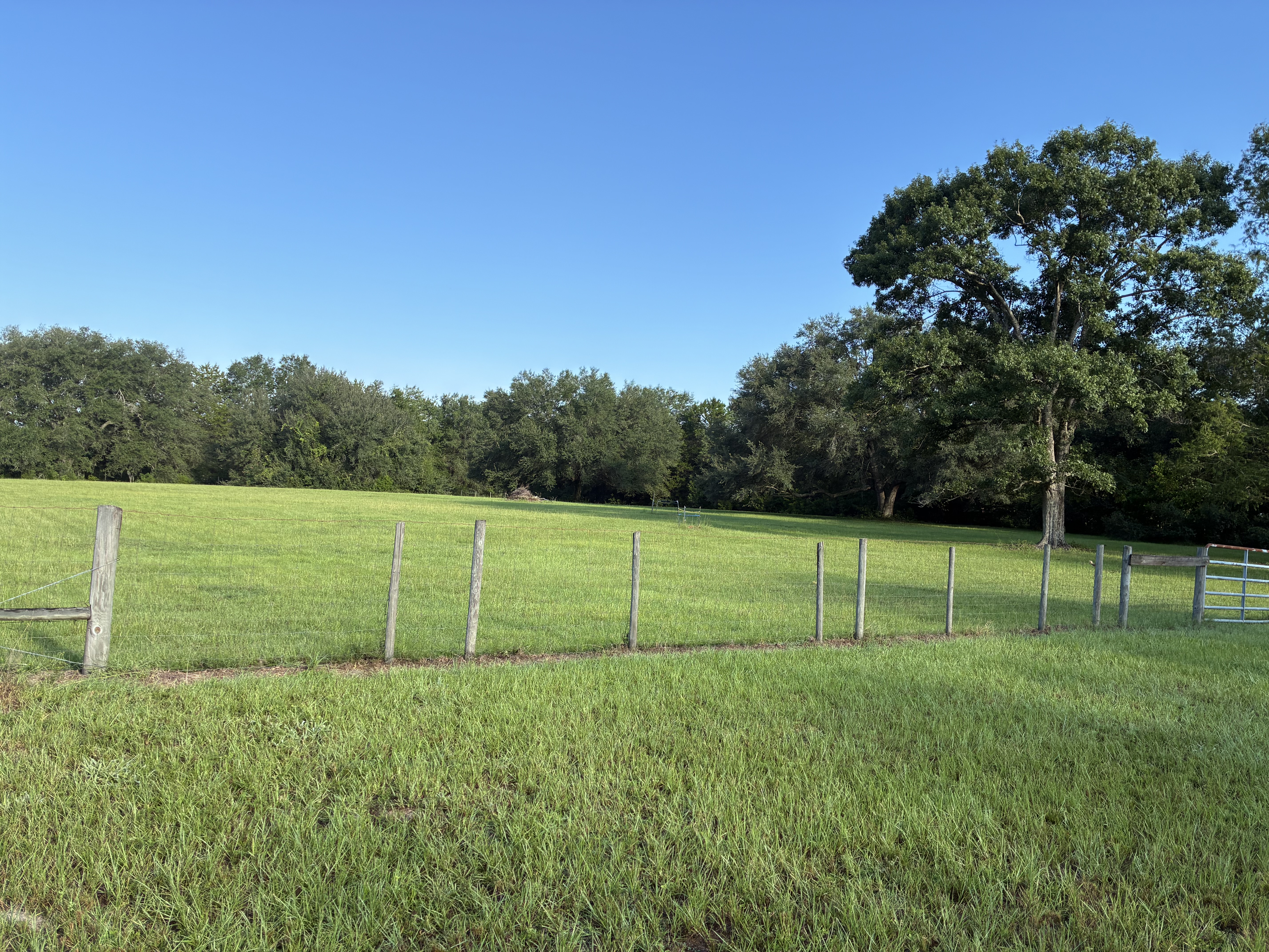 Pasture