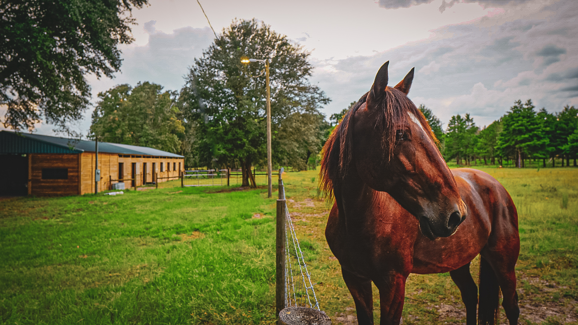 Stable Outside