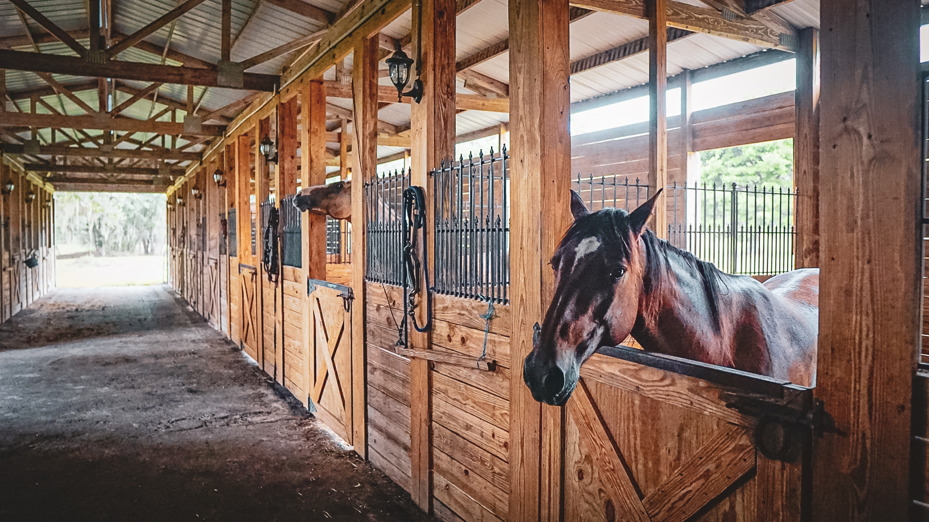 The stables
