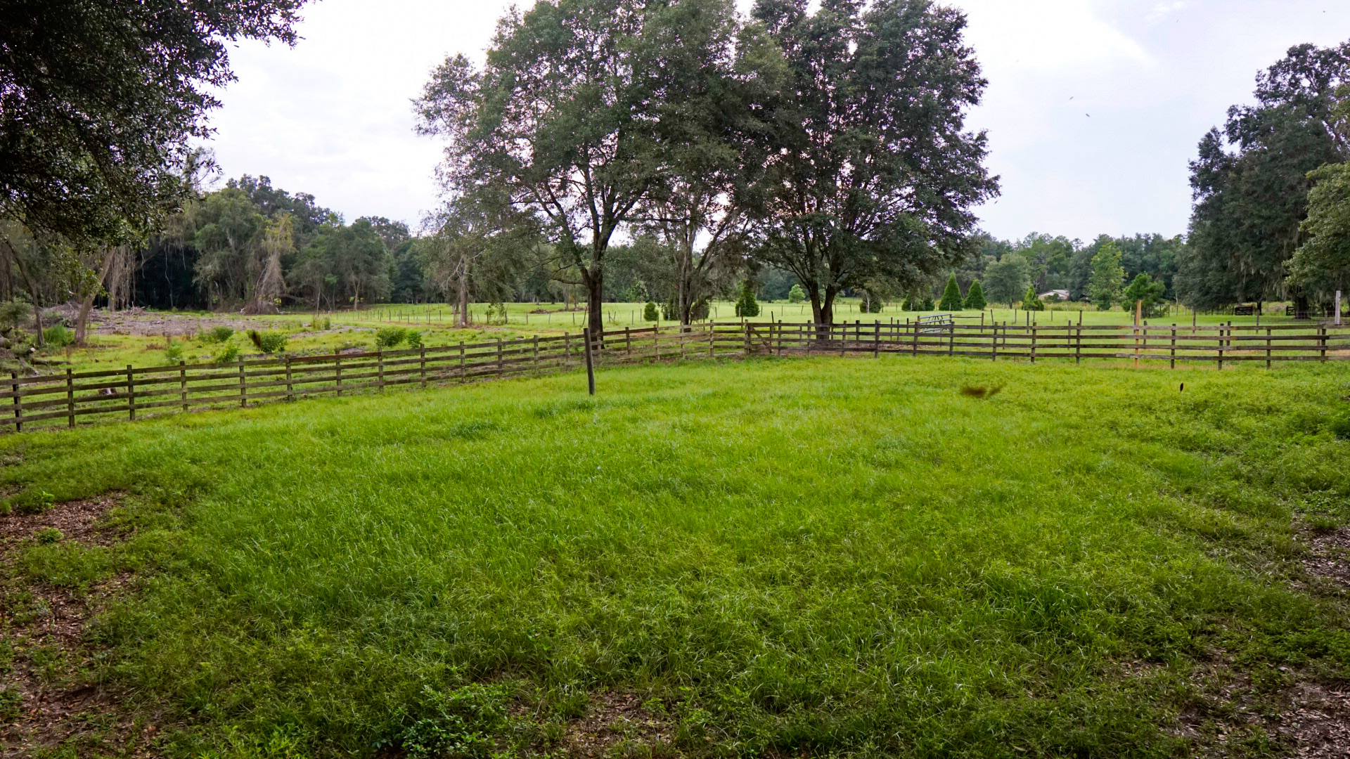 Paddock