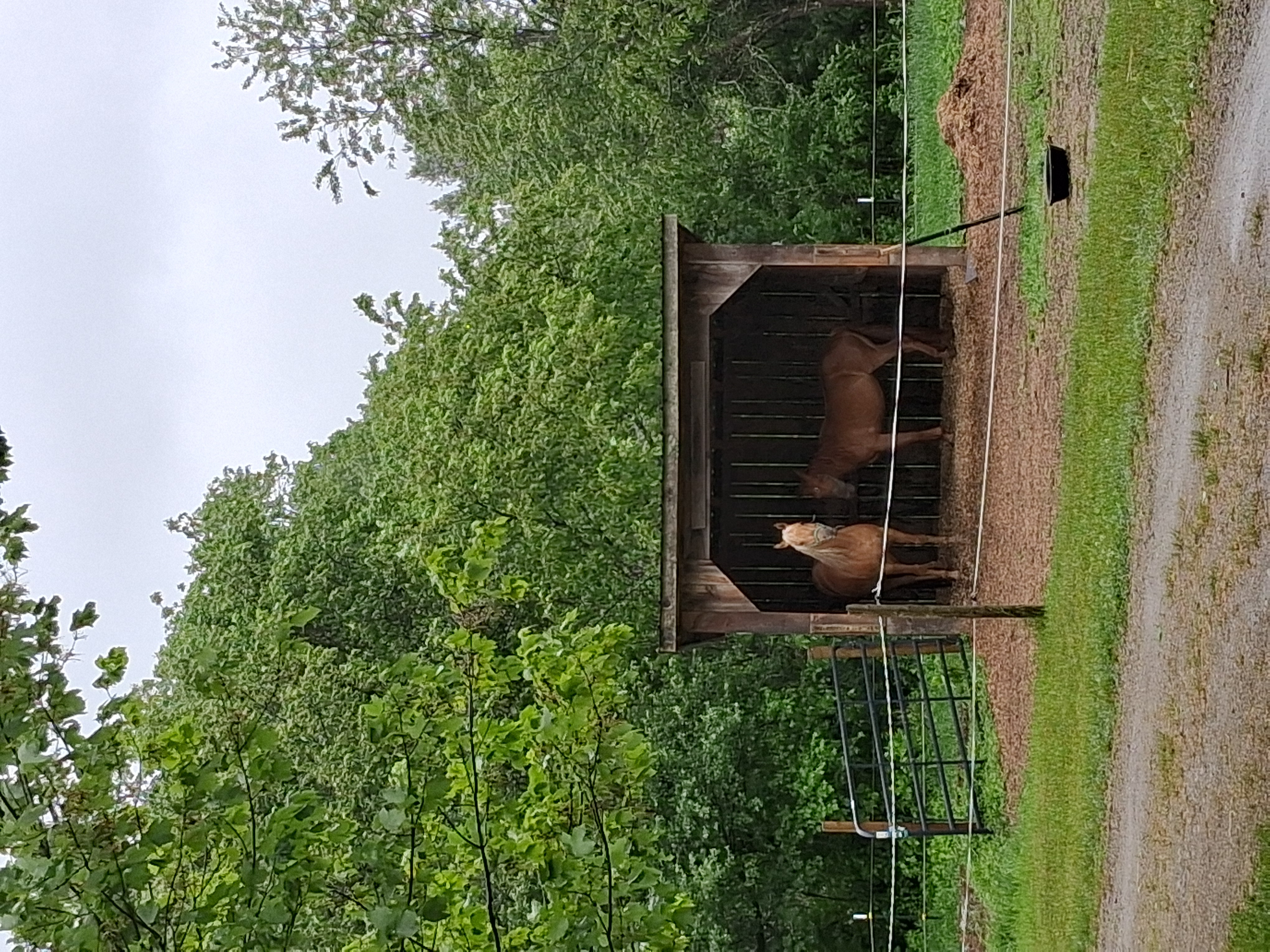 Run-in shed