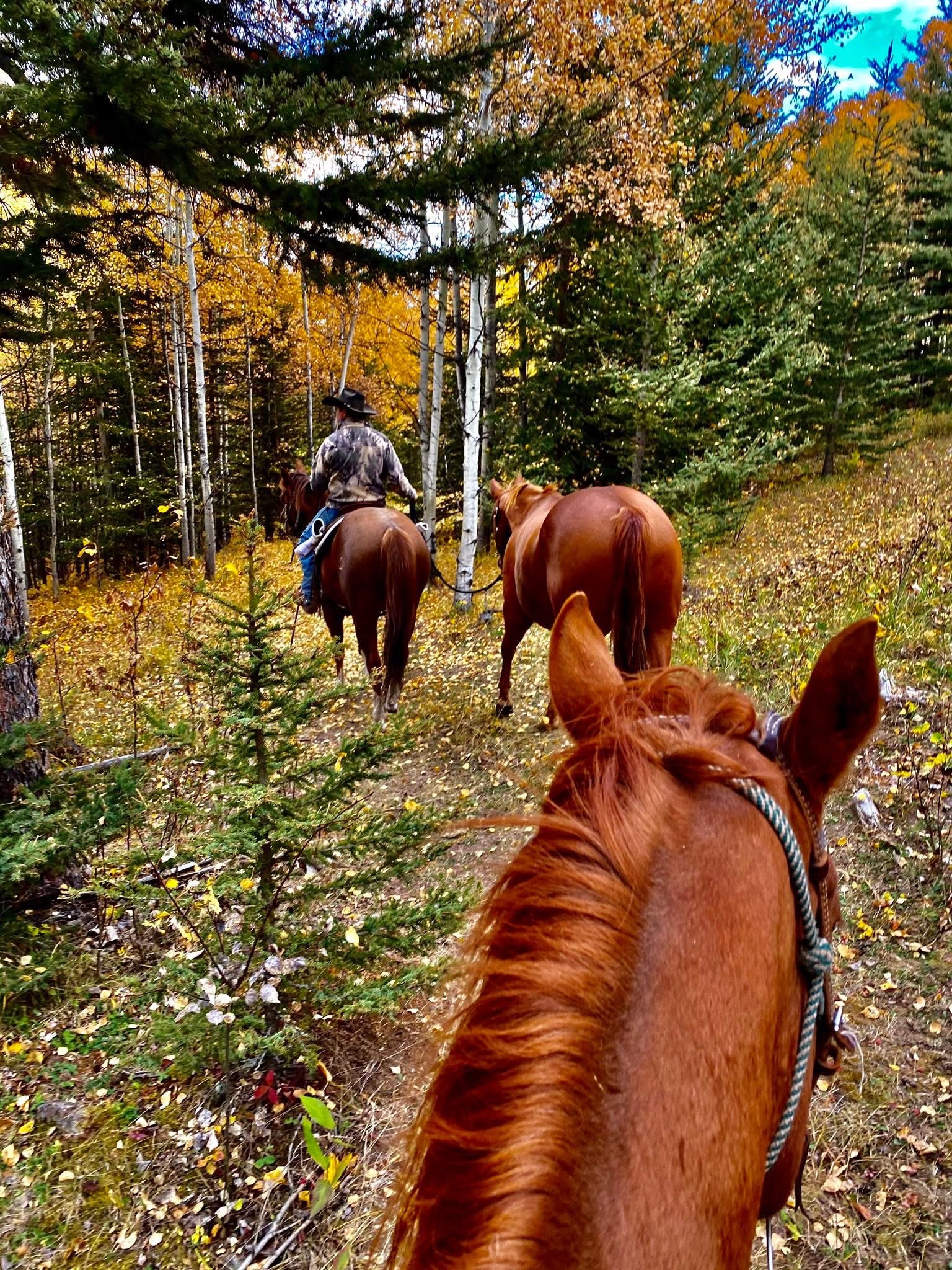 Trails