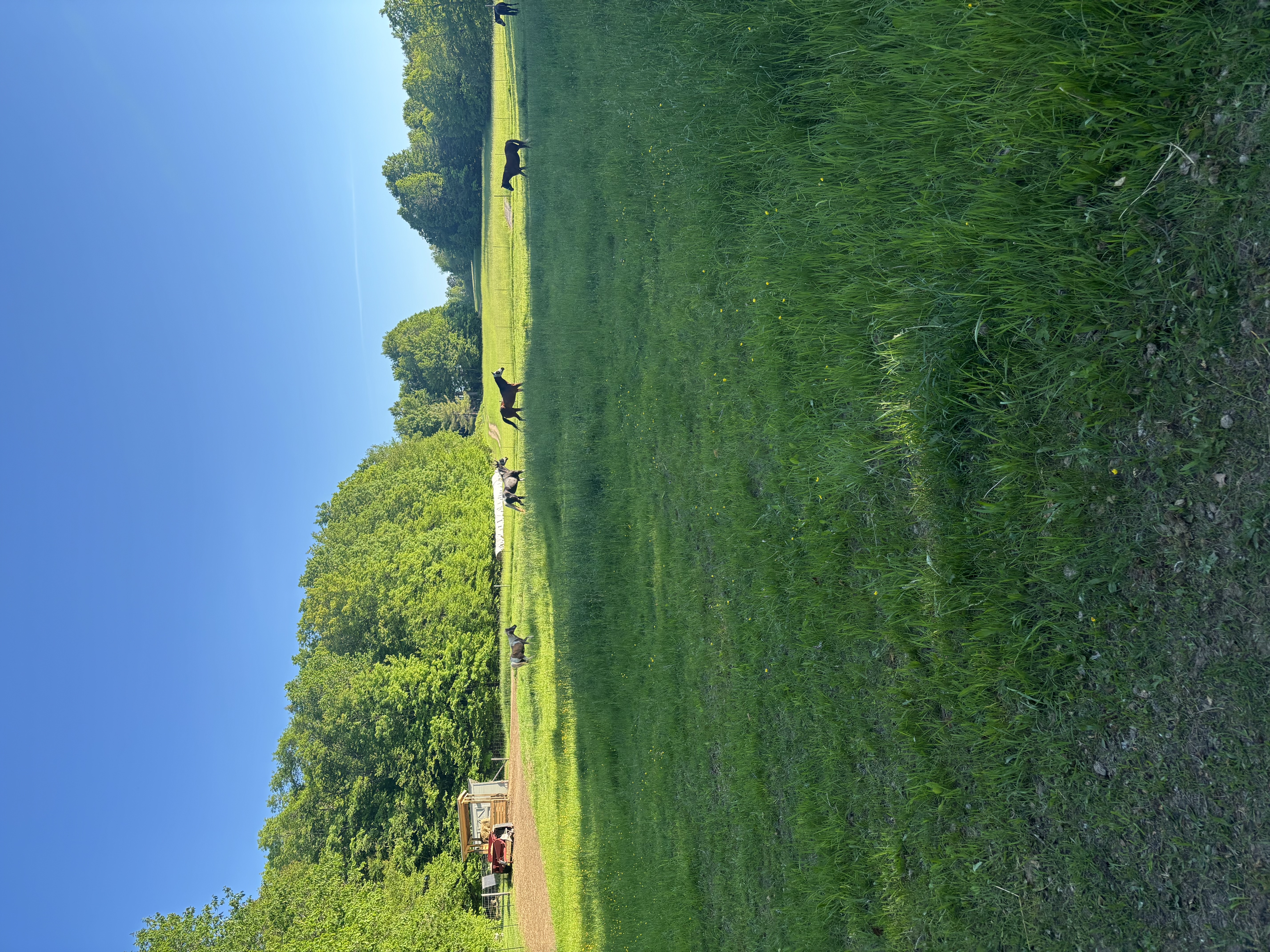 Some day to day photos