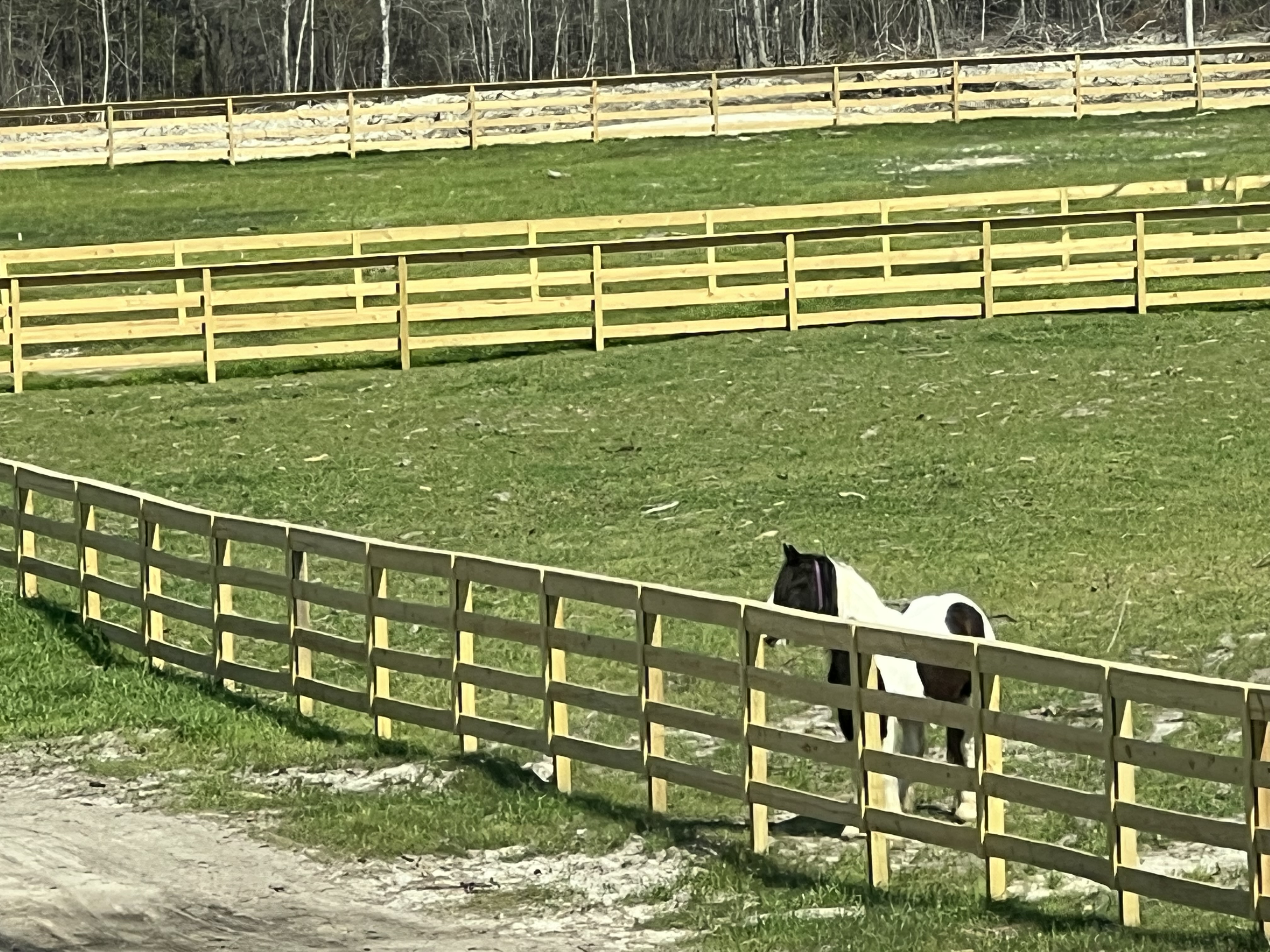 Fencing