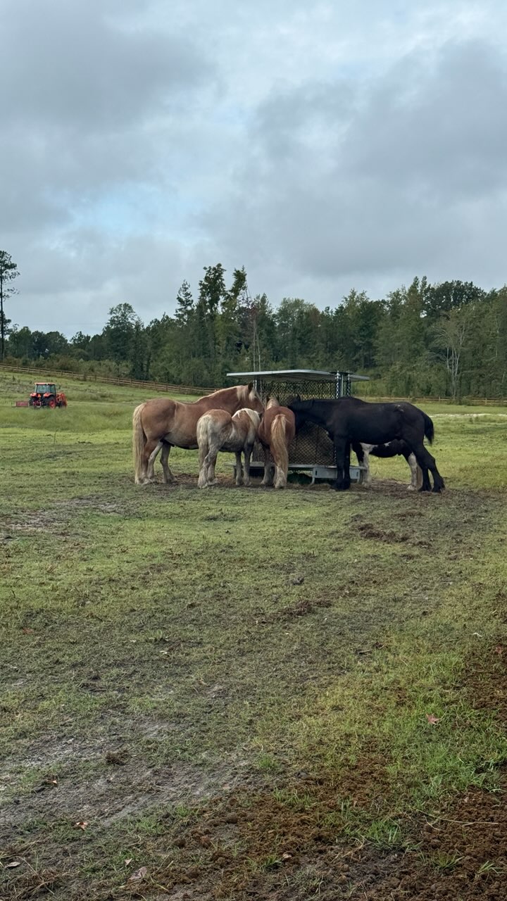 Premium hay feeders