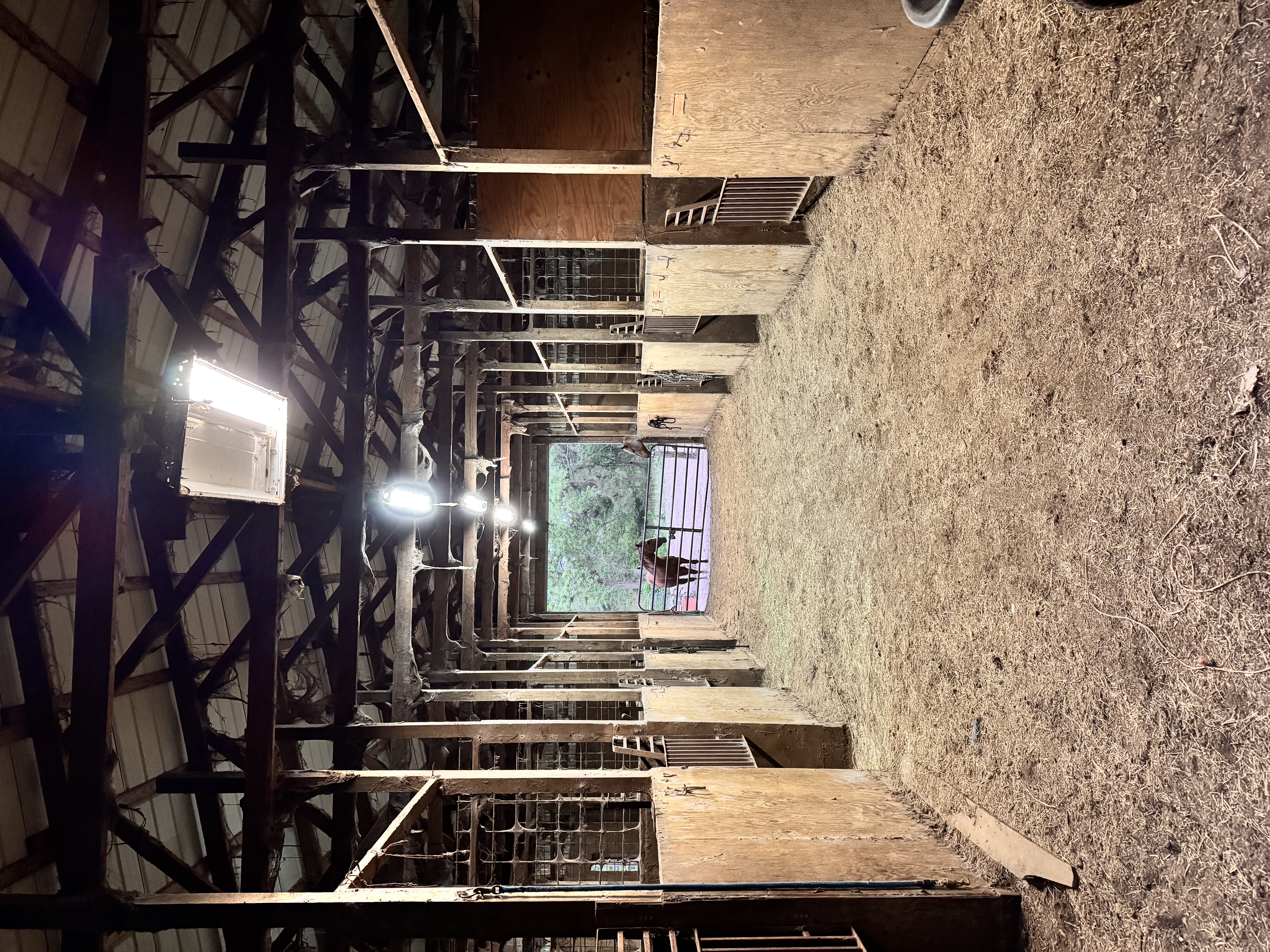 Barn 2