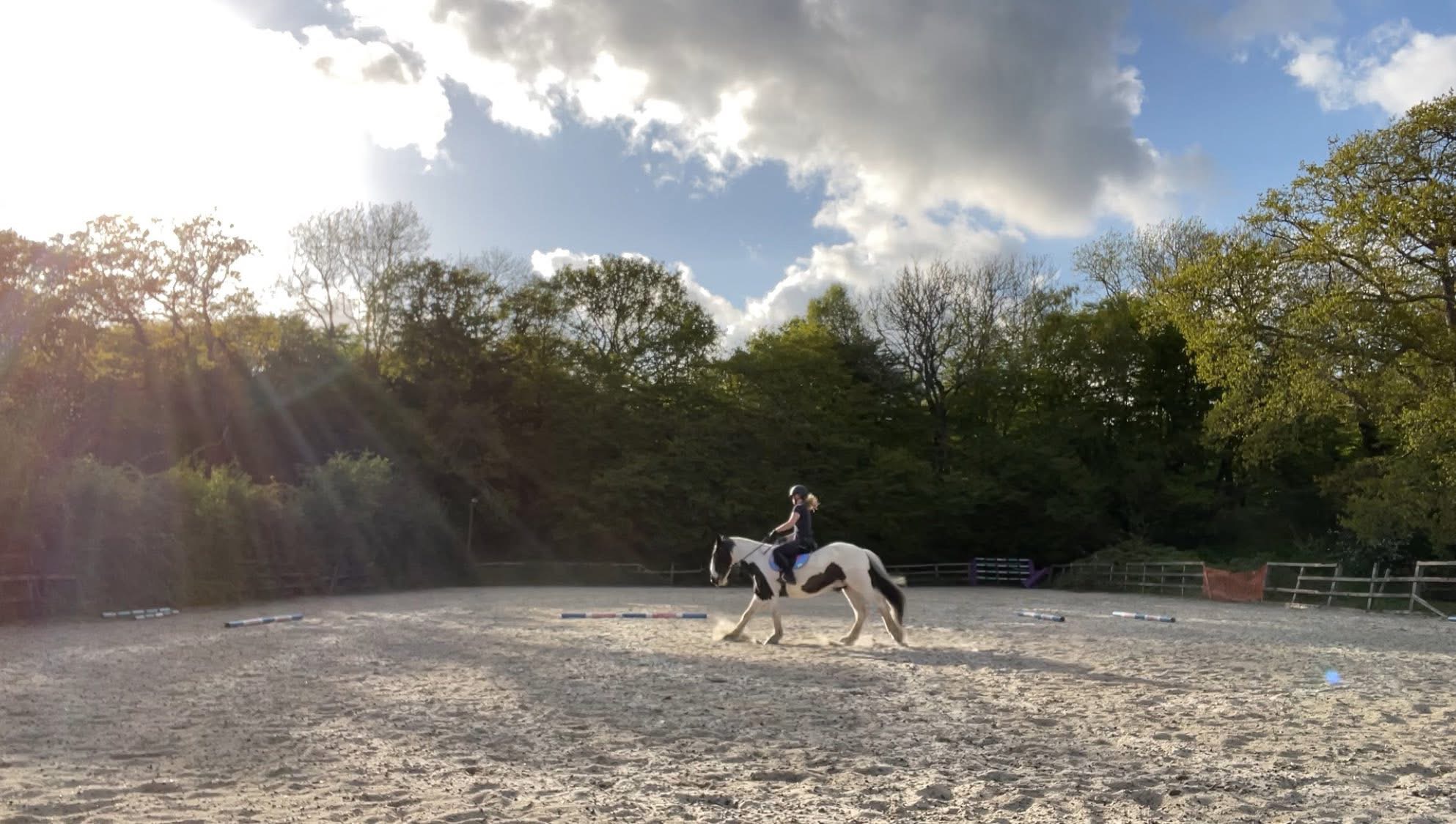 30x60m sand school