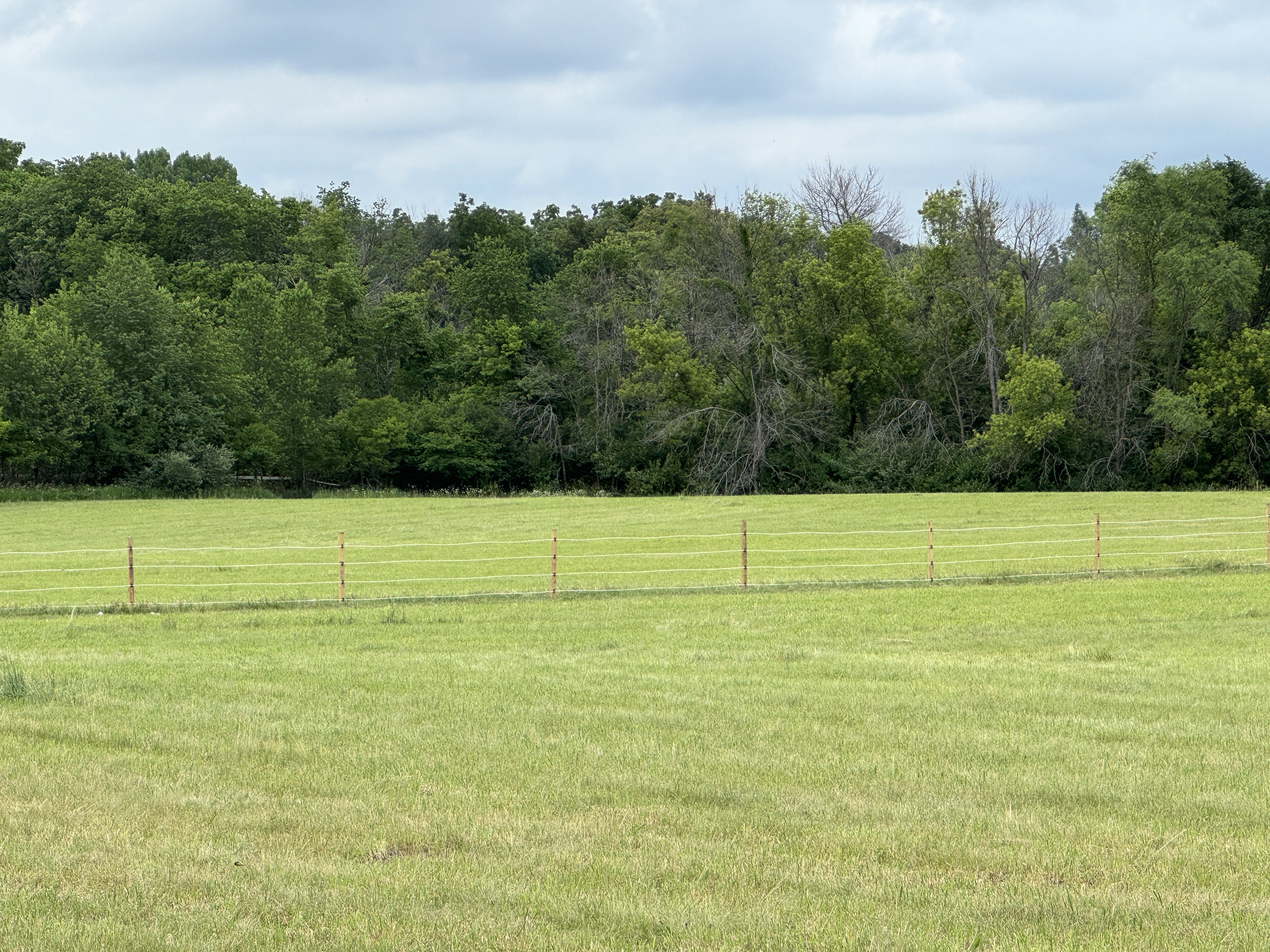 Pasture