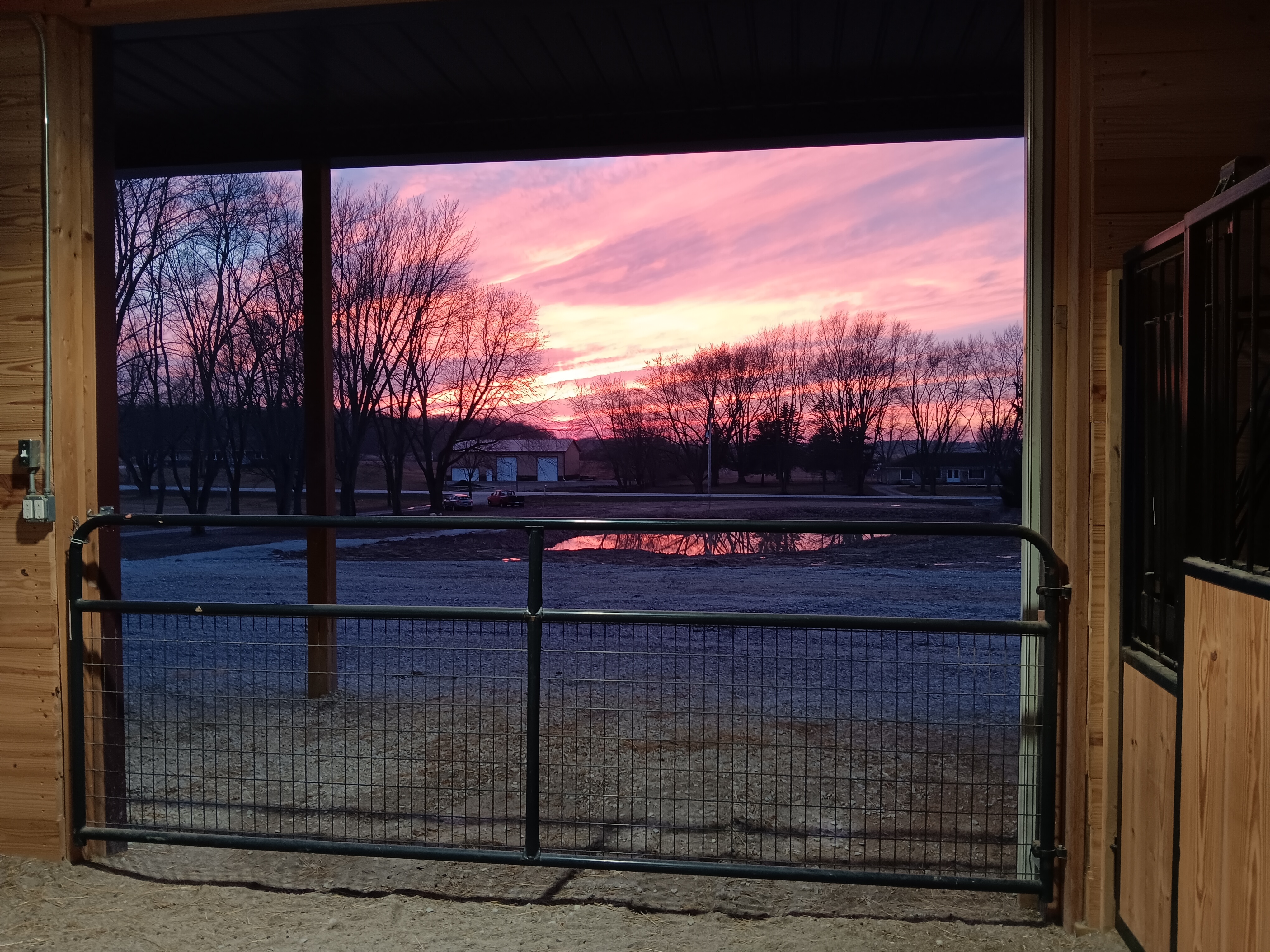 View out the front