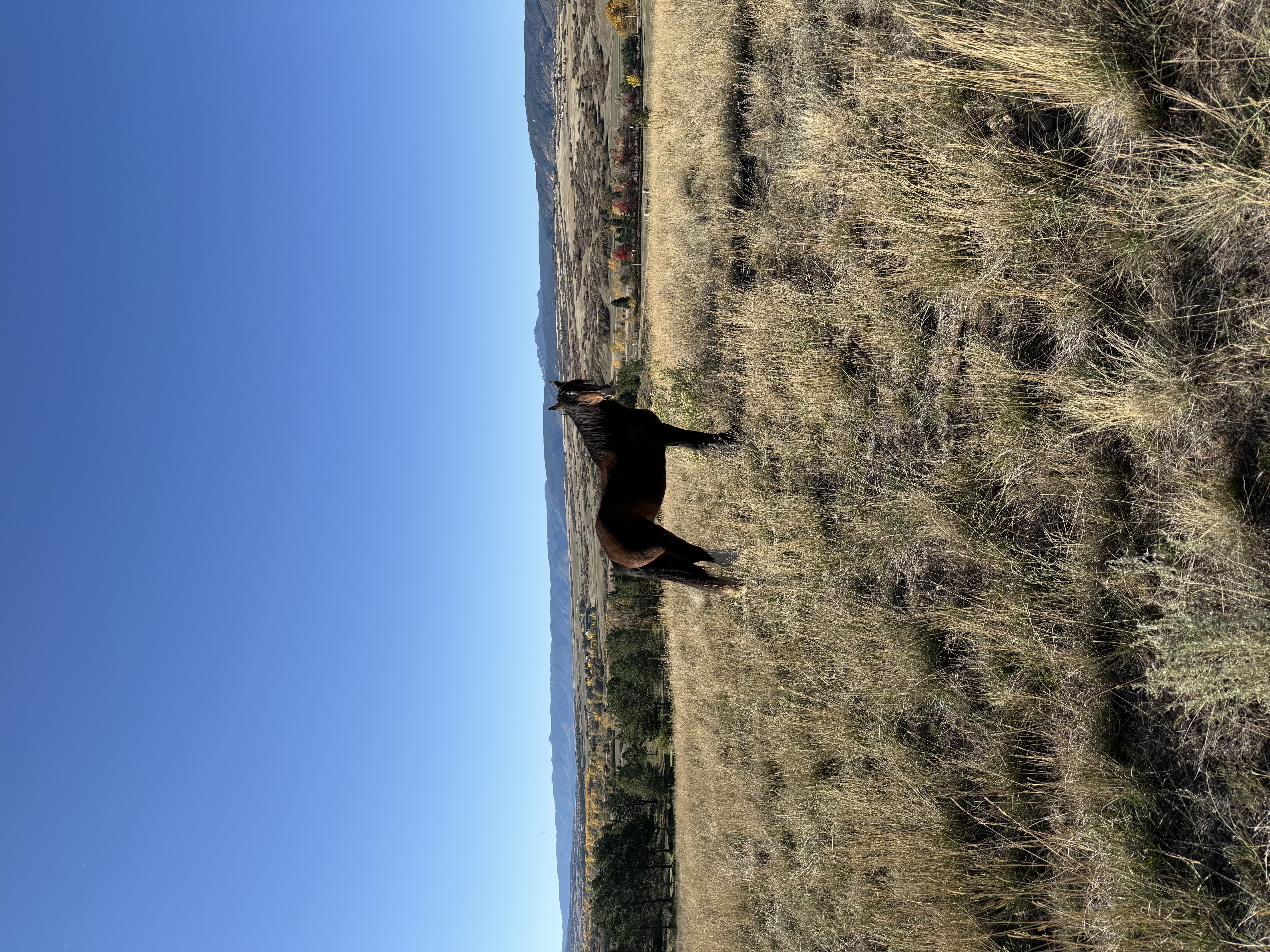 Access to 200 acre pasture