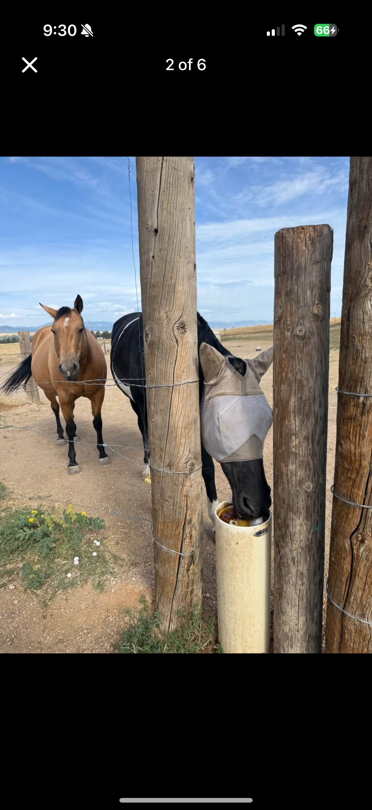 Water post, ensuring Horses always have water and never freezes during winter