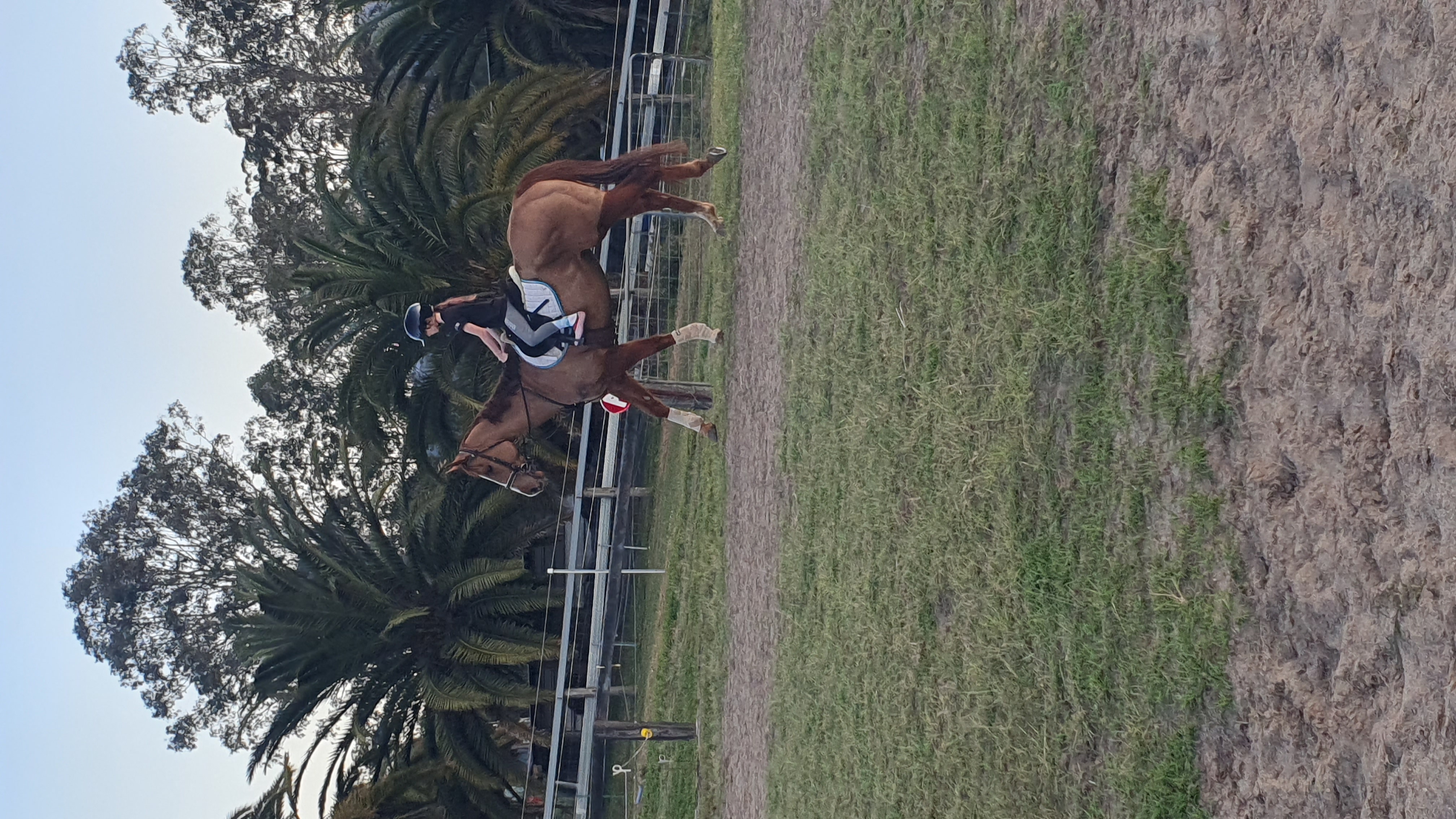 Riding in the arena