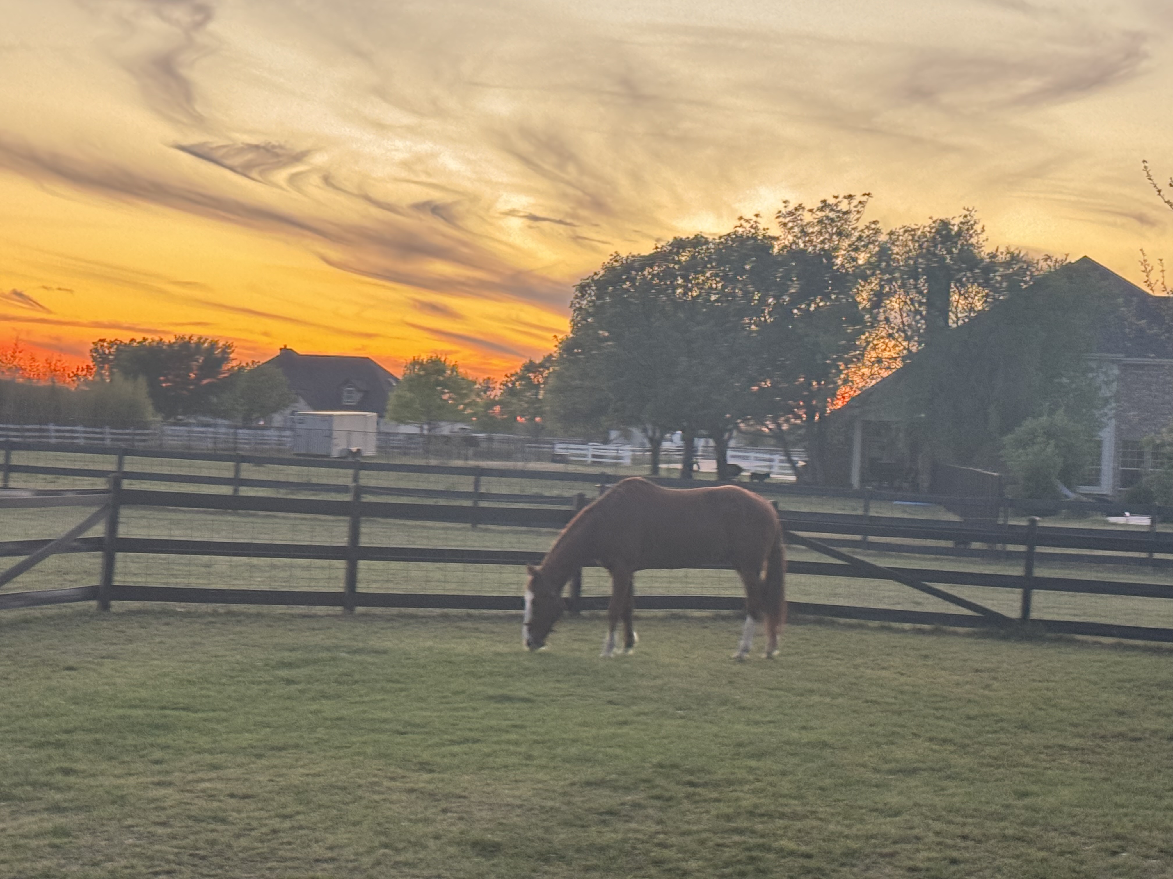 Plenty of pasture