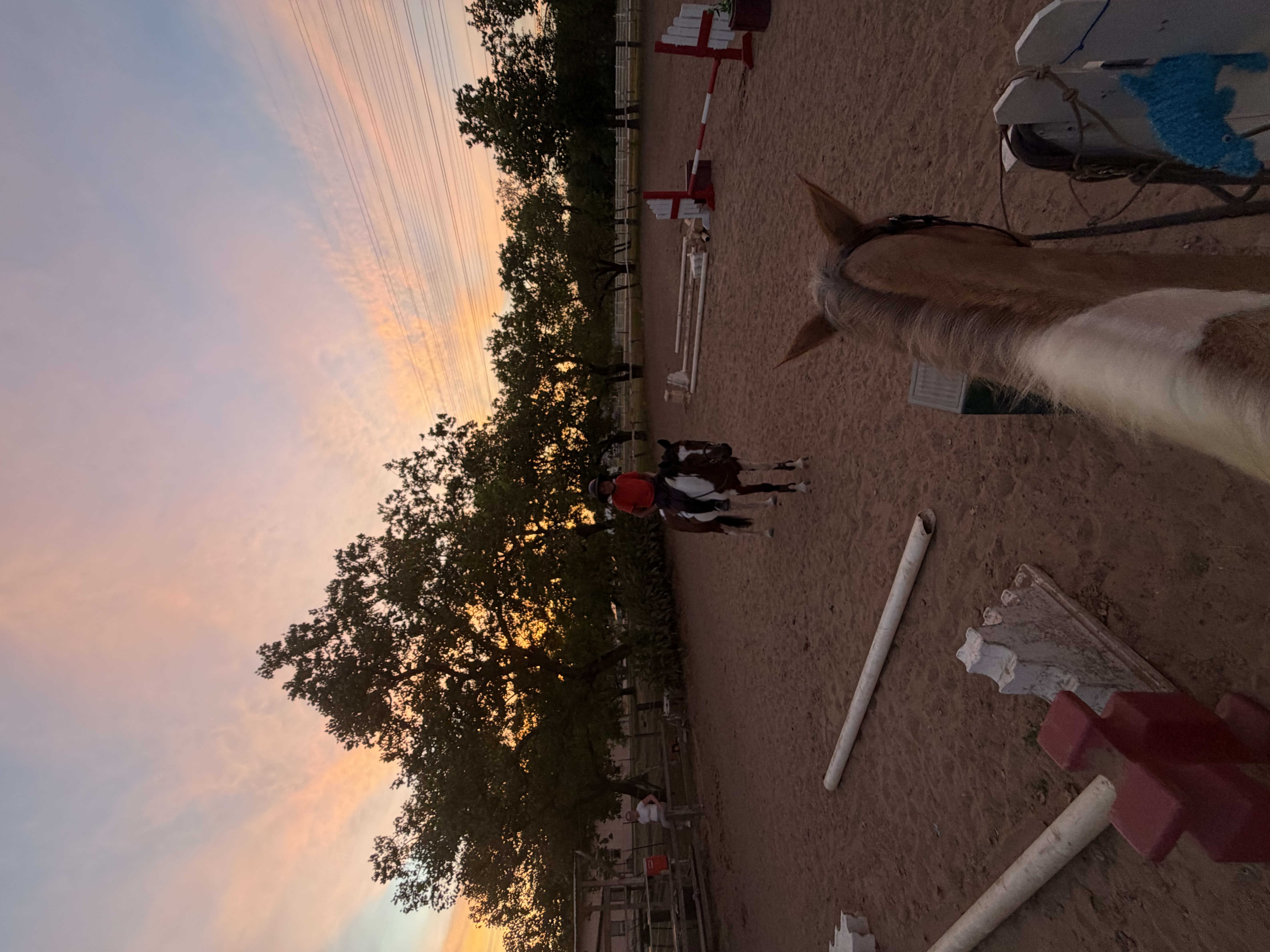 outdoor arena