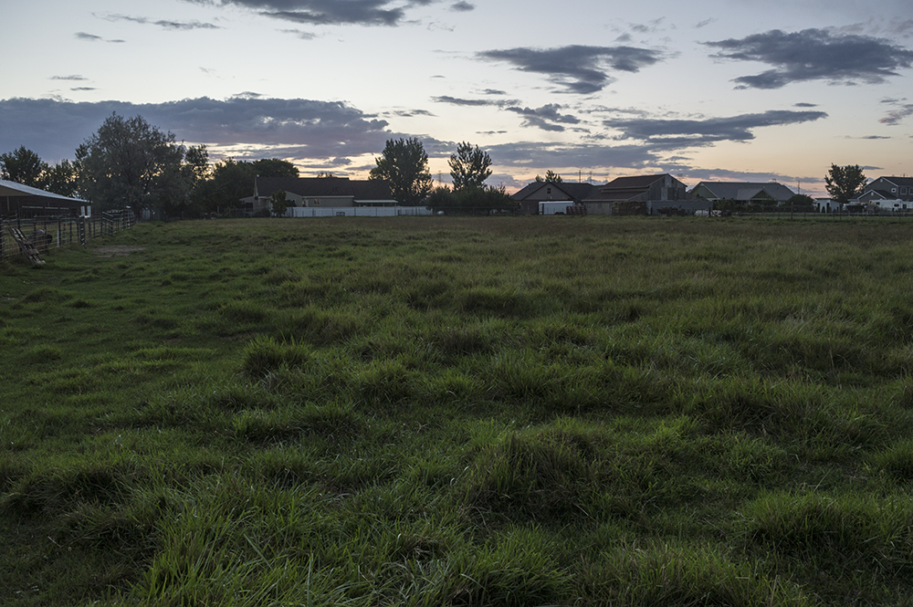 Pasture