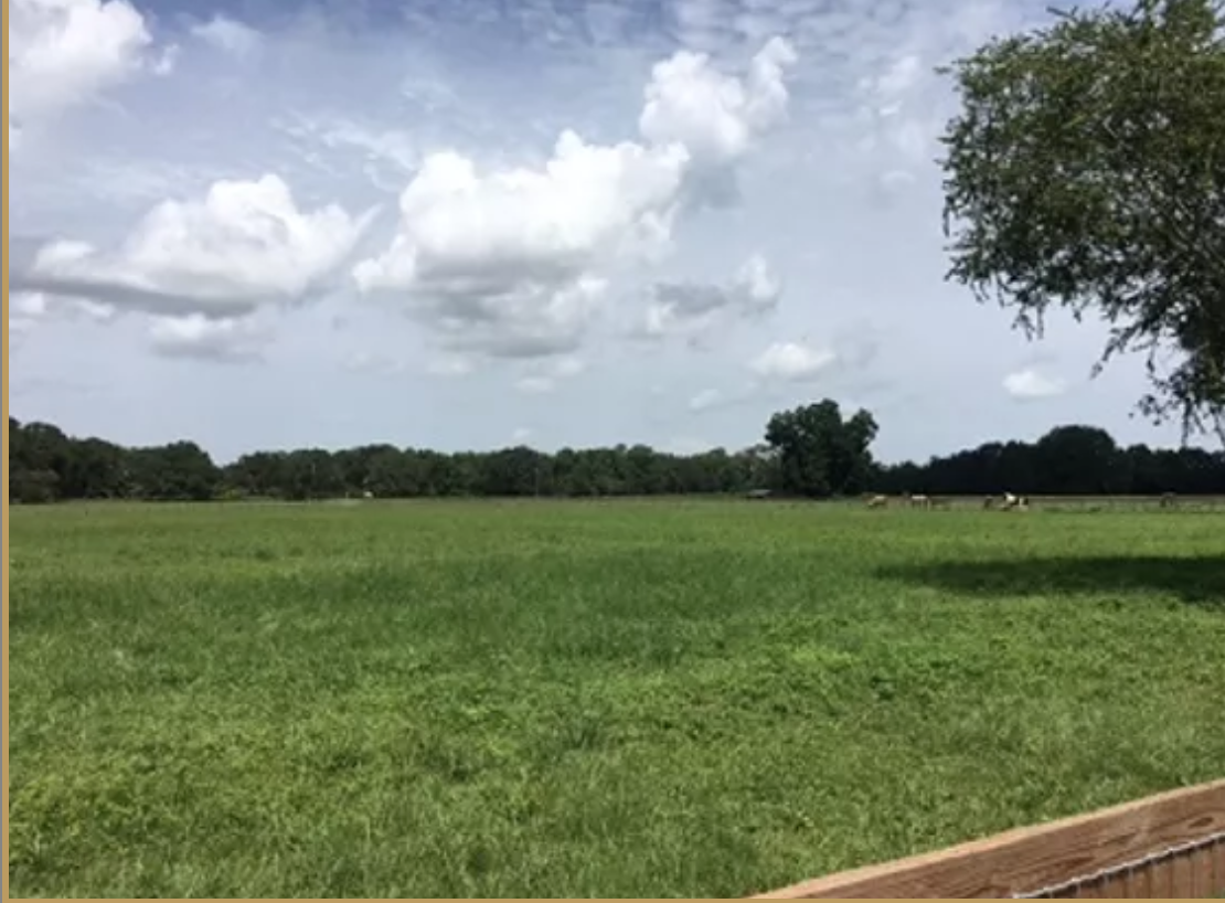 Pastures