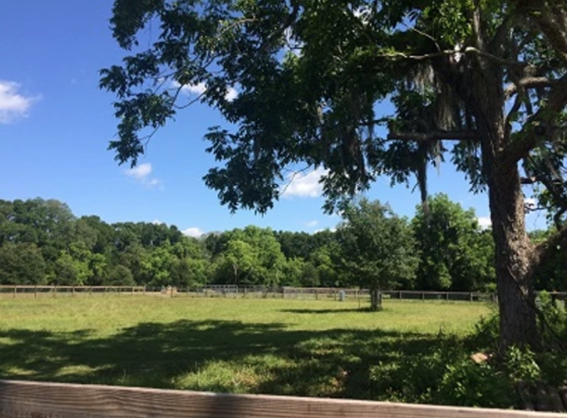 Pastures