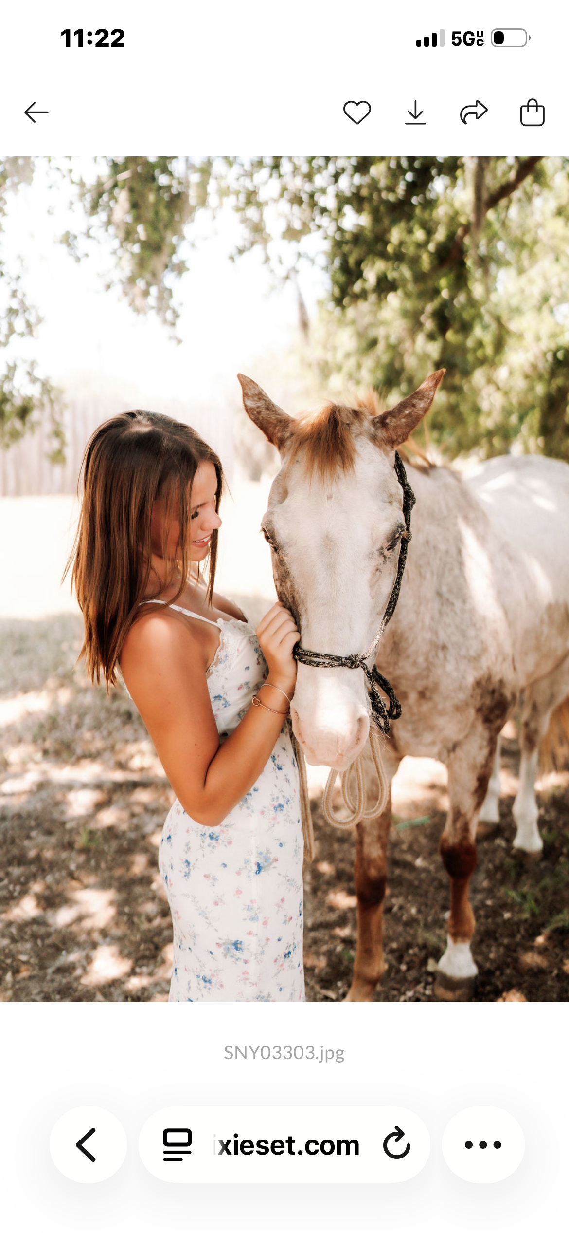 Barn pics