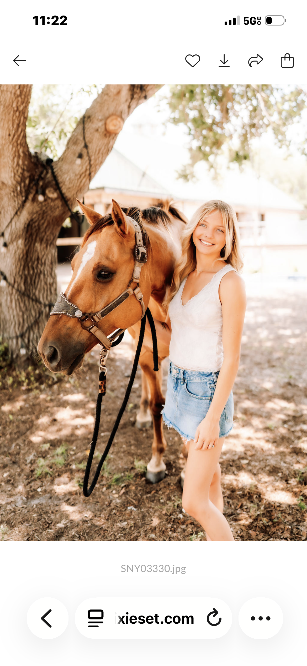 Barn pics