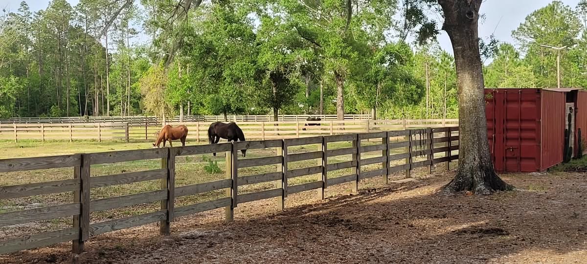 Paddocks. Large for multiple. Small for single