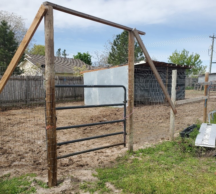 Paddock & Shelter x4