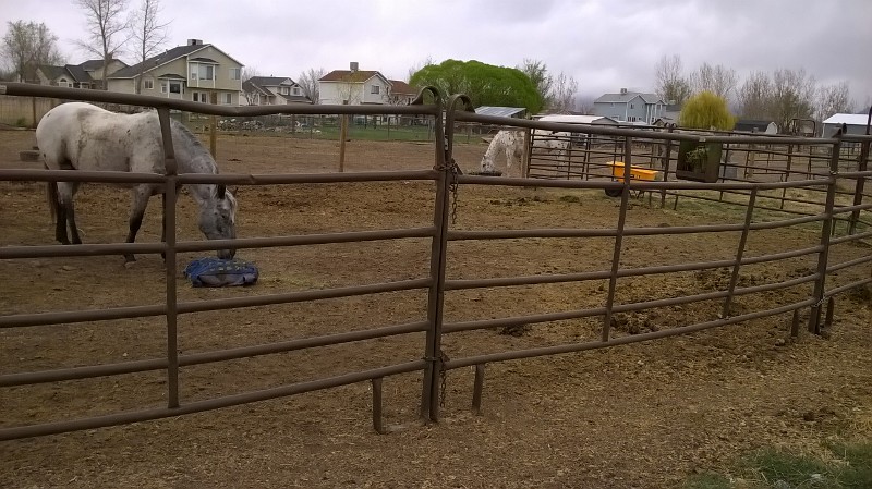 Paddocks