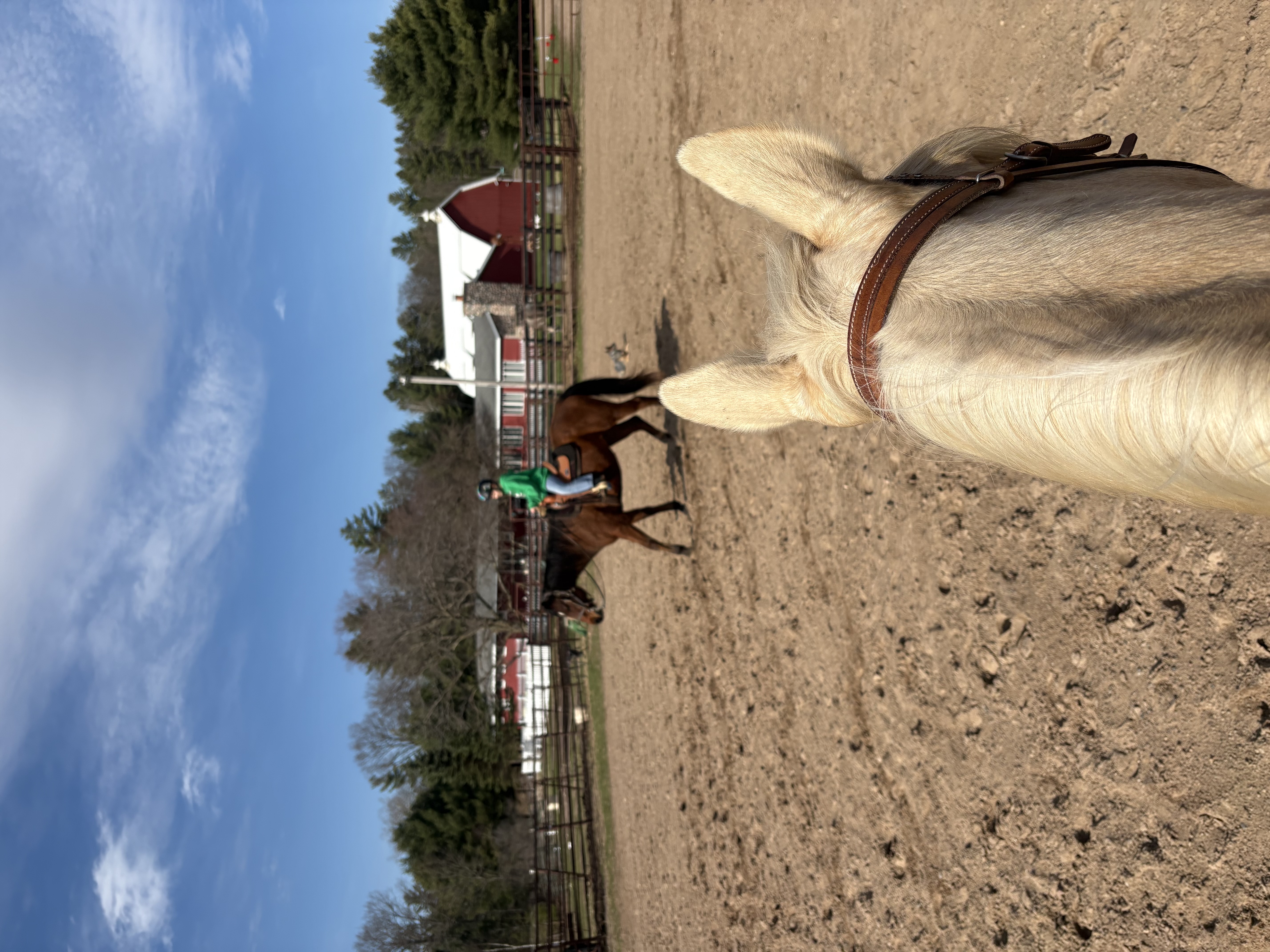 Outdoor arena