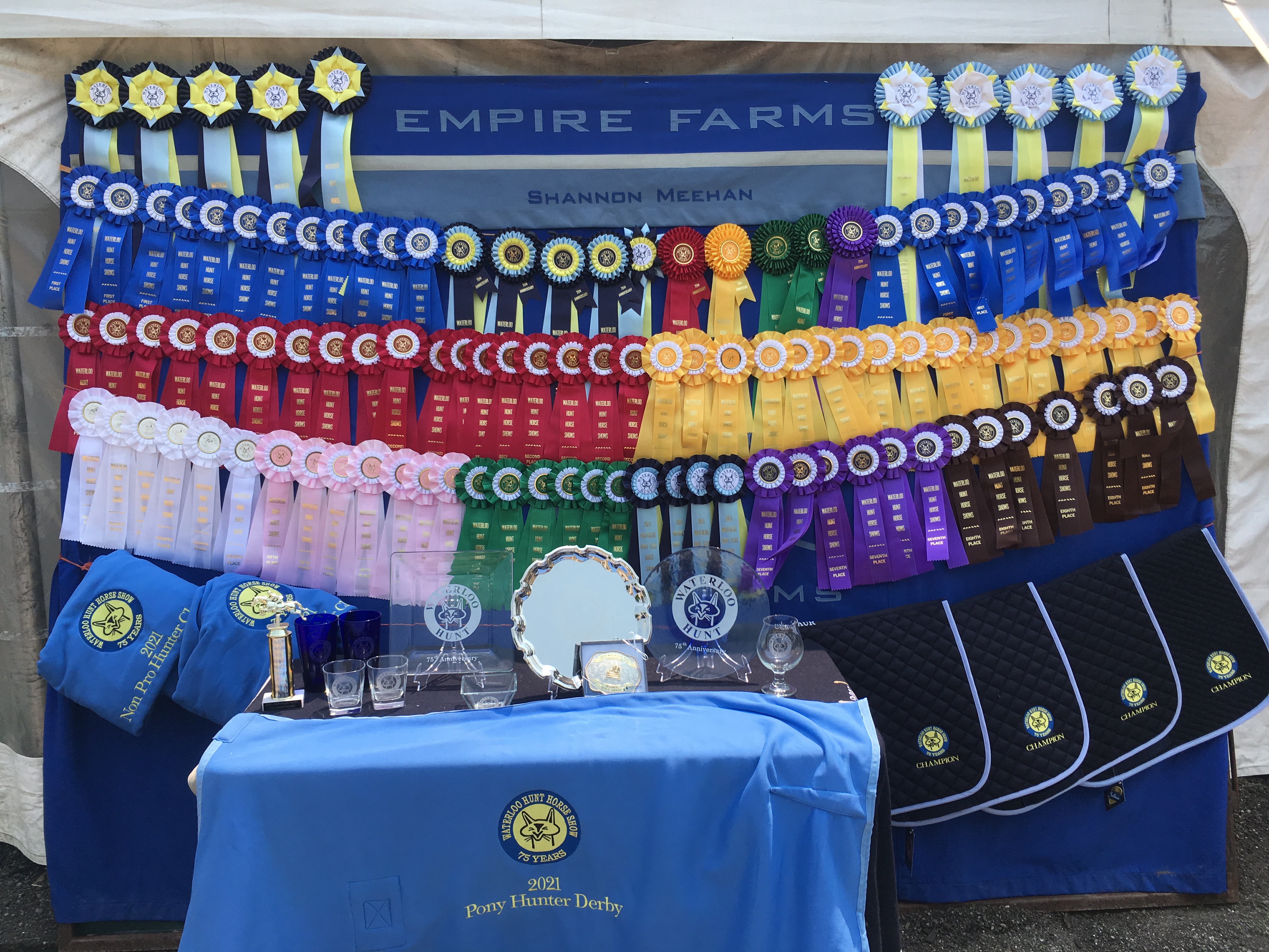 Ribbons