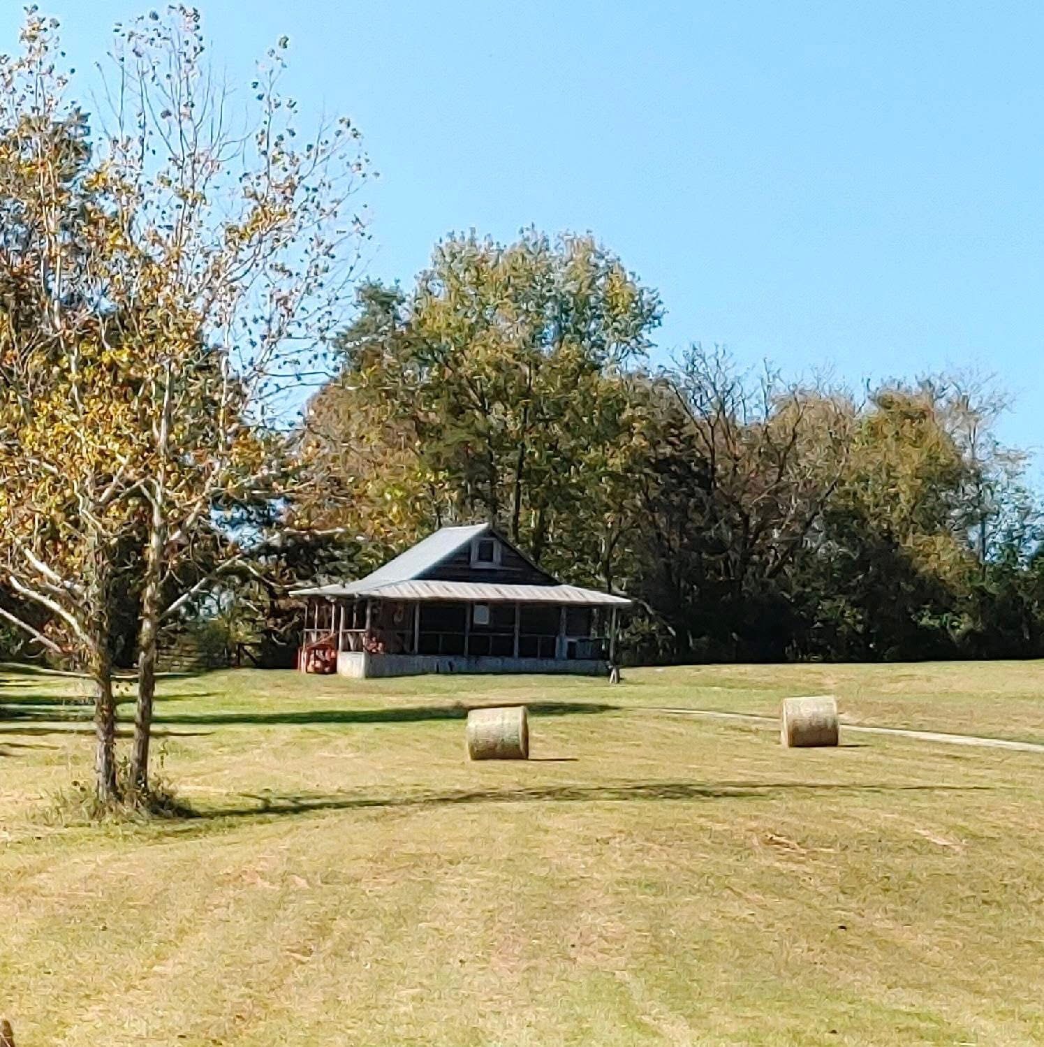 Pasture near Wagon Wheel guest cabin