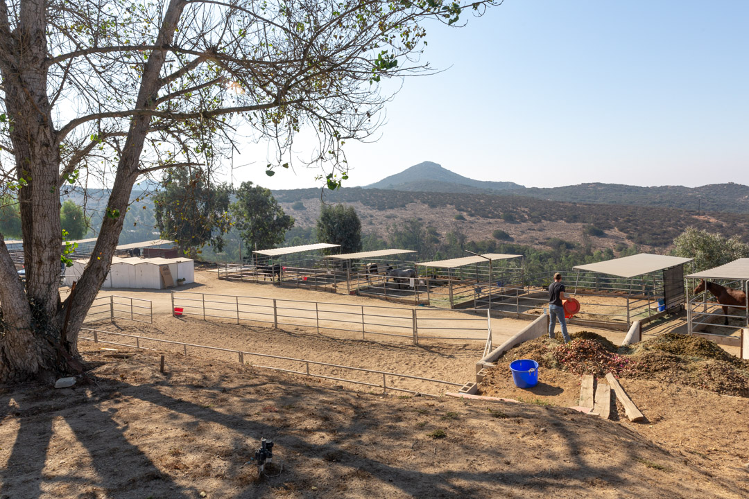 Covered 24' x 24' pipe corrals with mountain views