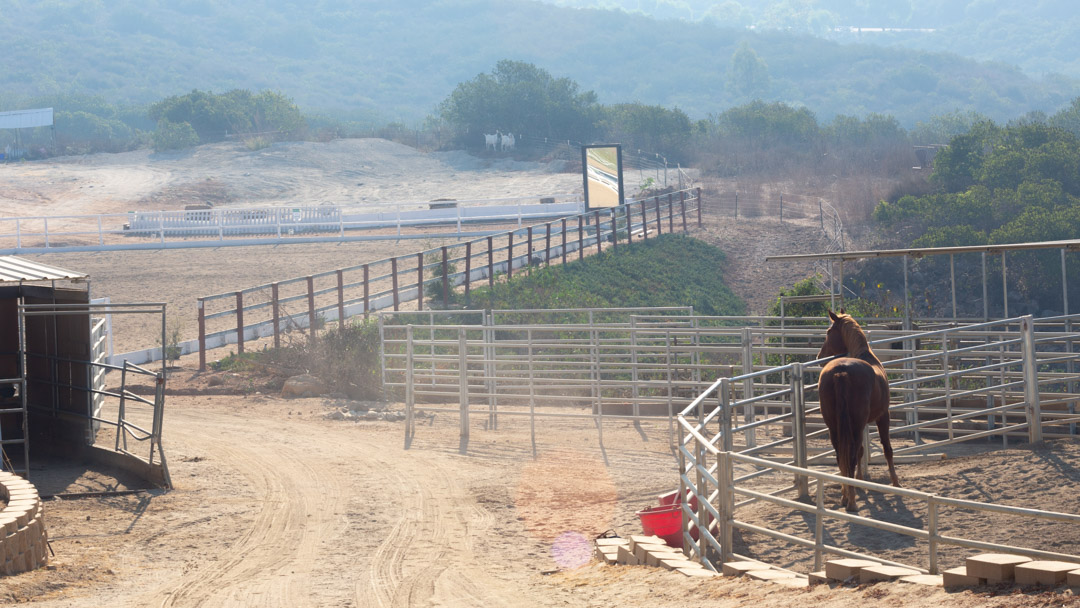 Spacious pipe corrals near the arenas