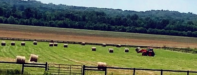 Bringing in our hay