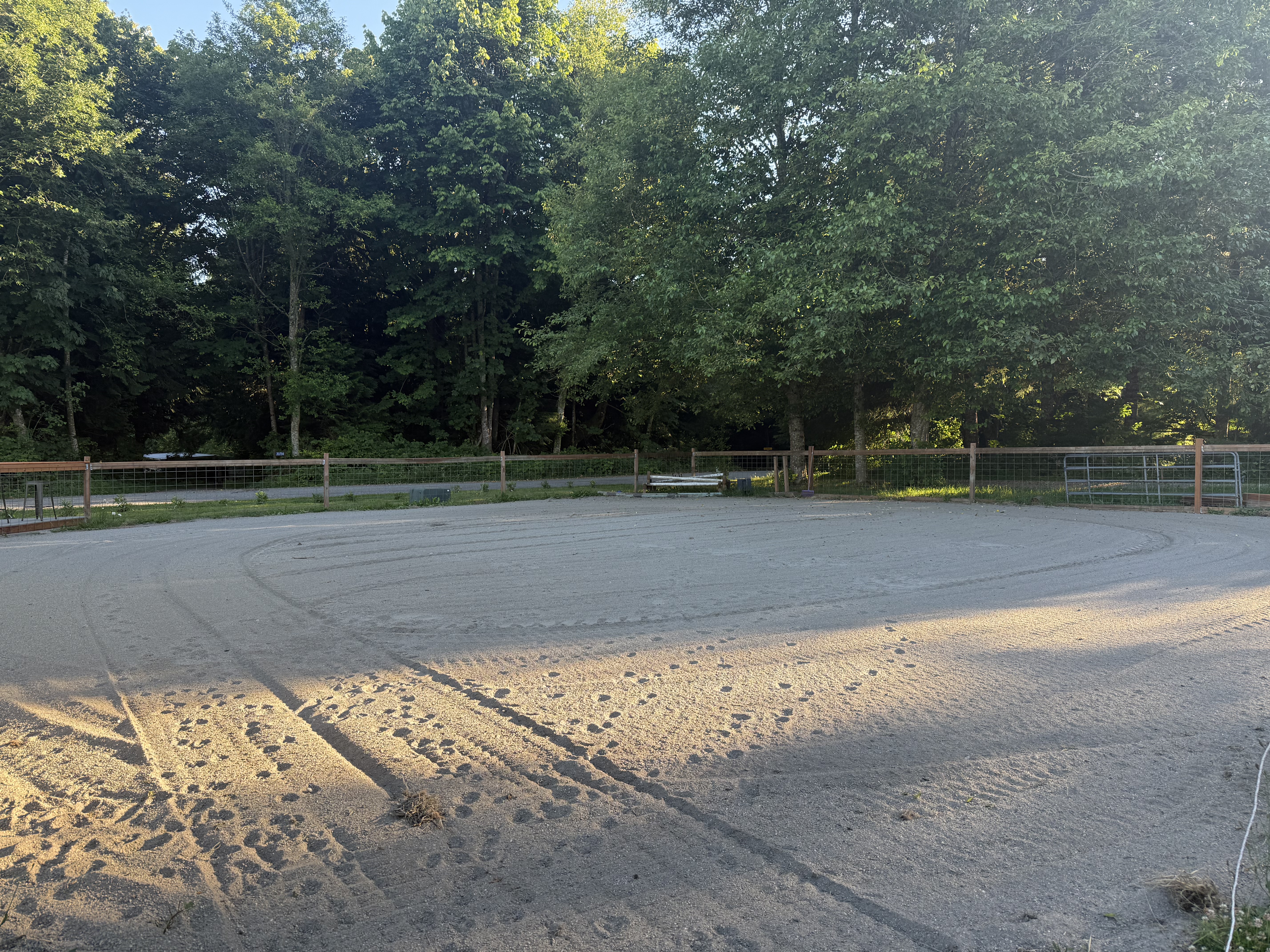 Arena