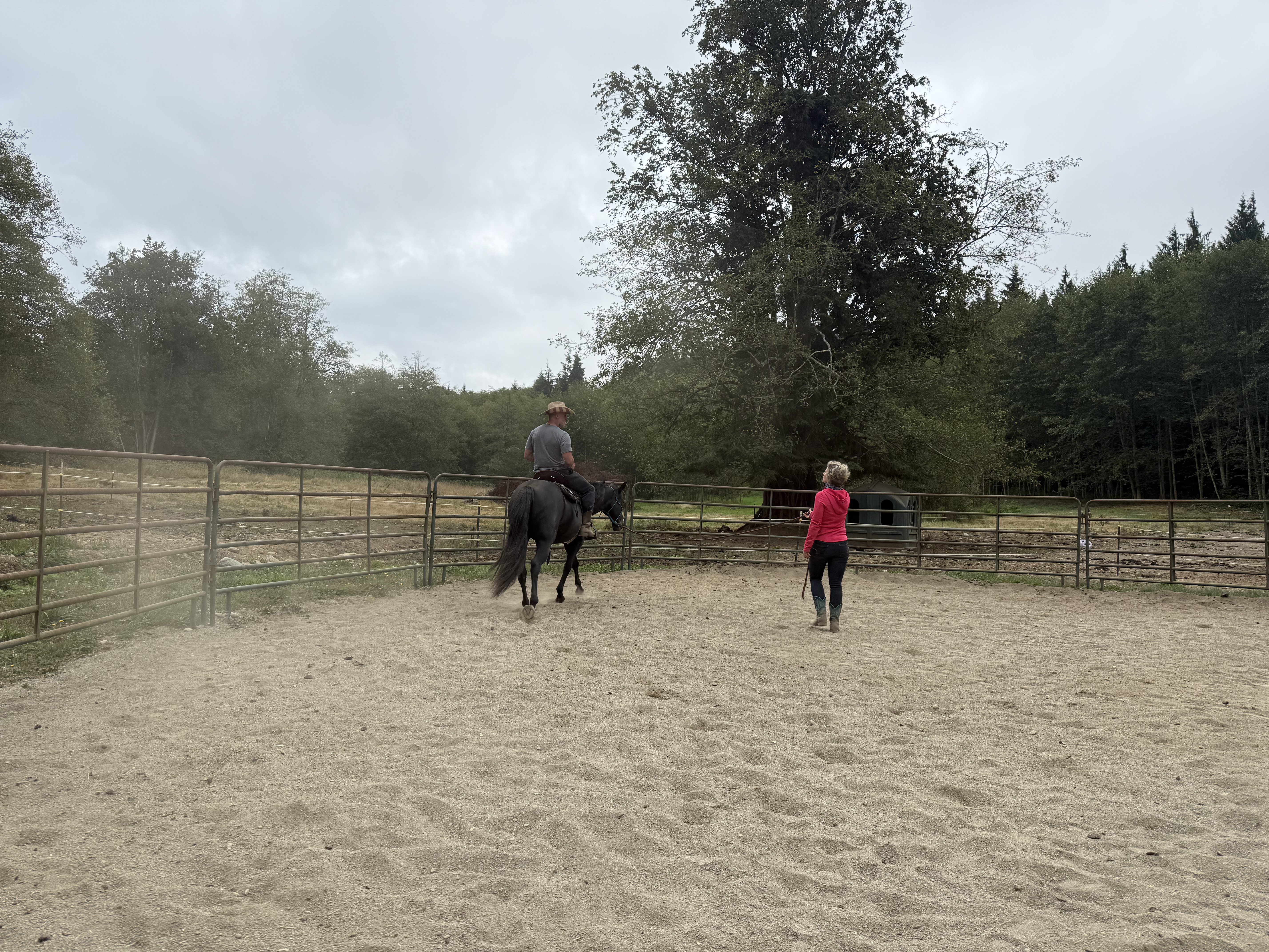Round pen