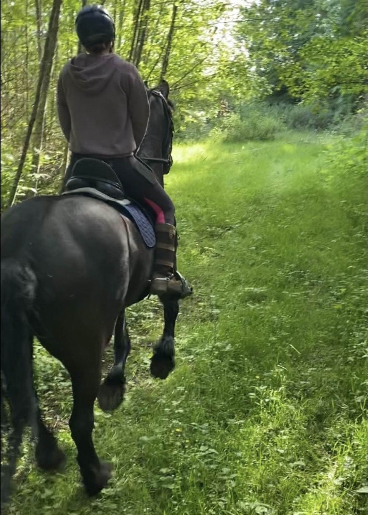 Trails