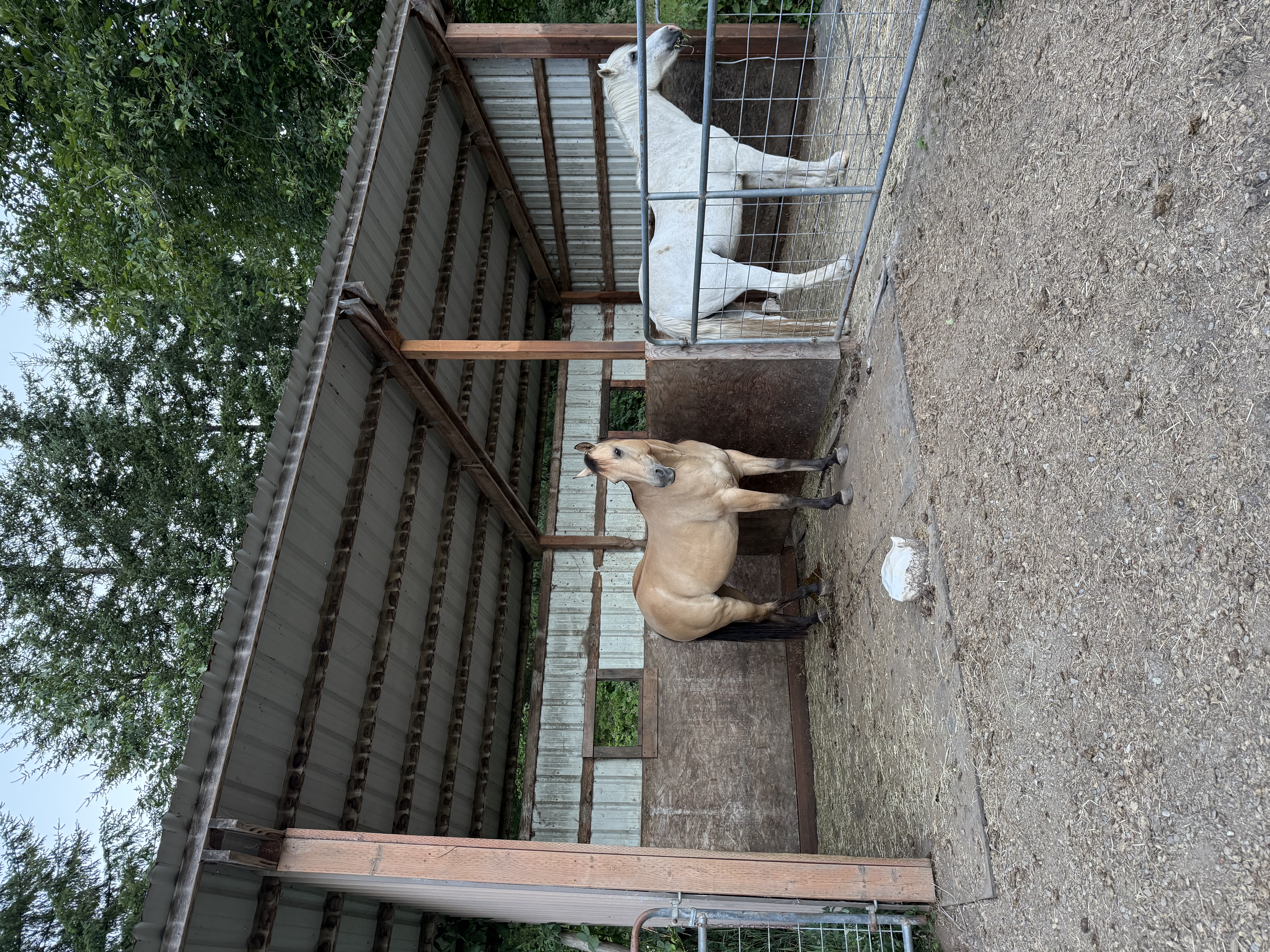 Stalls