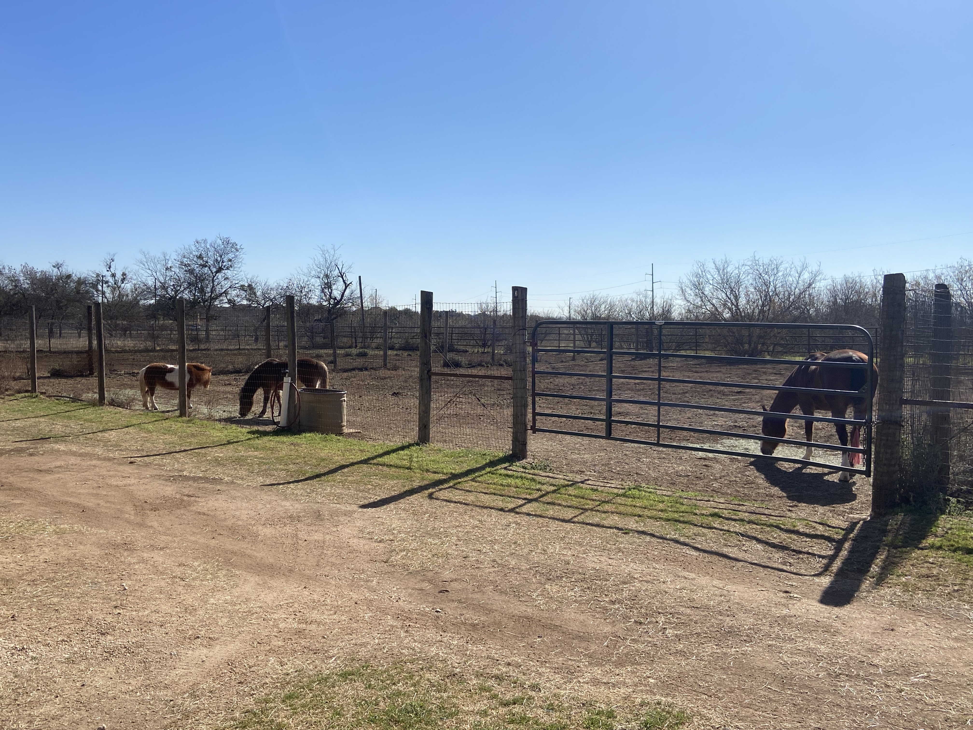 Paddocks