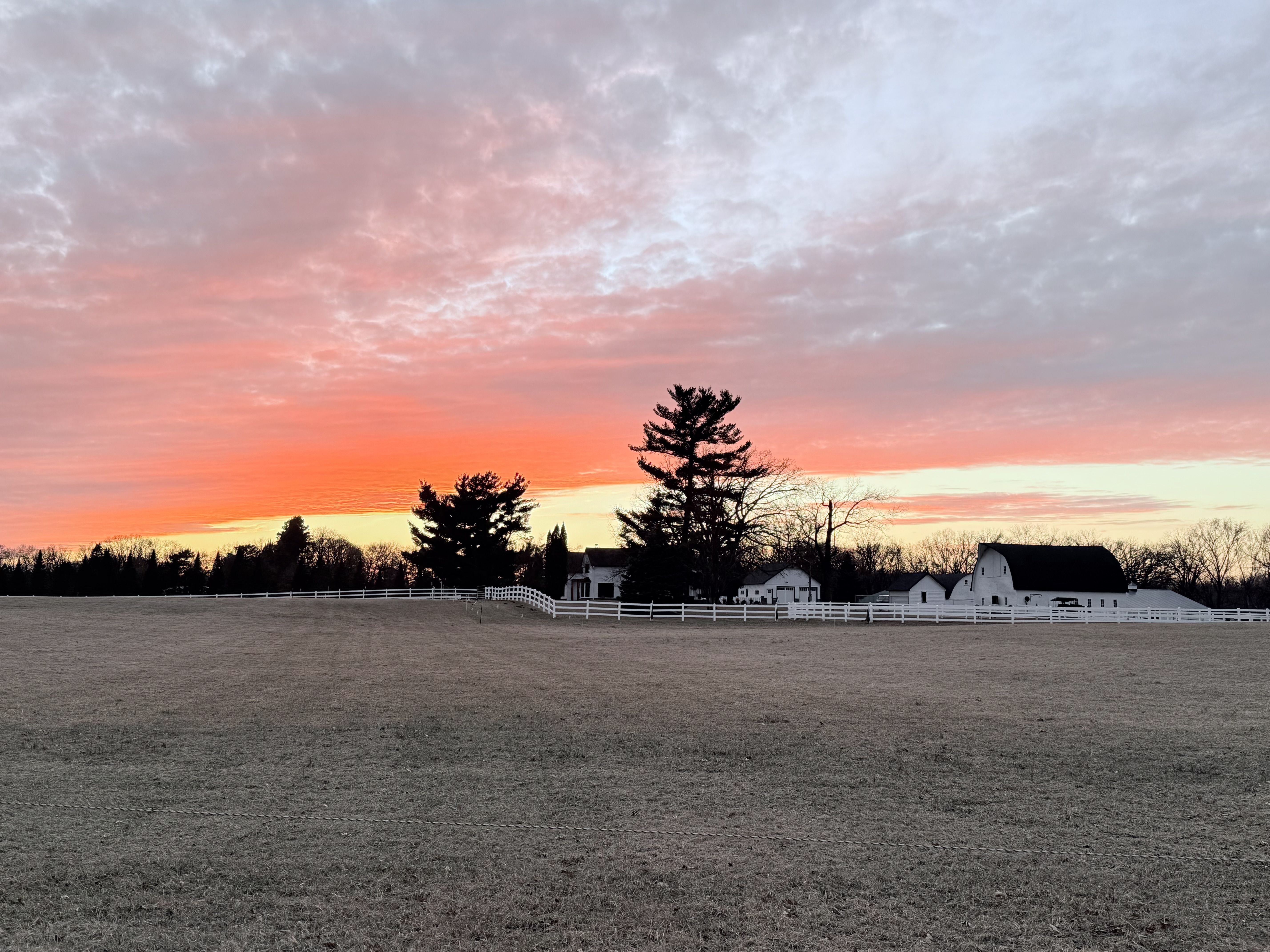 Royal Oaks Stable