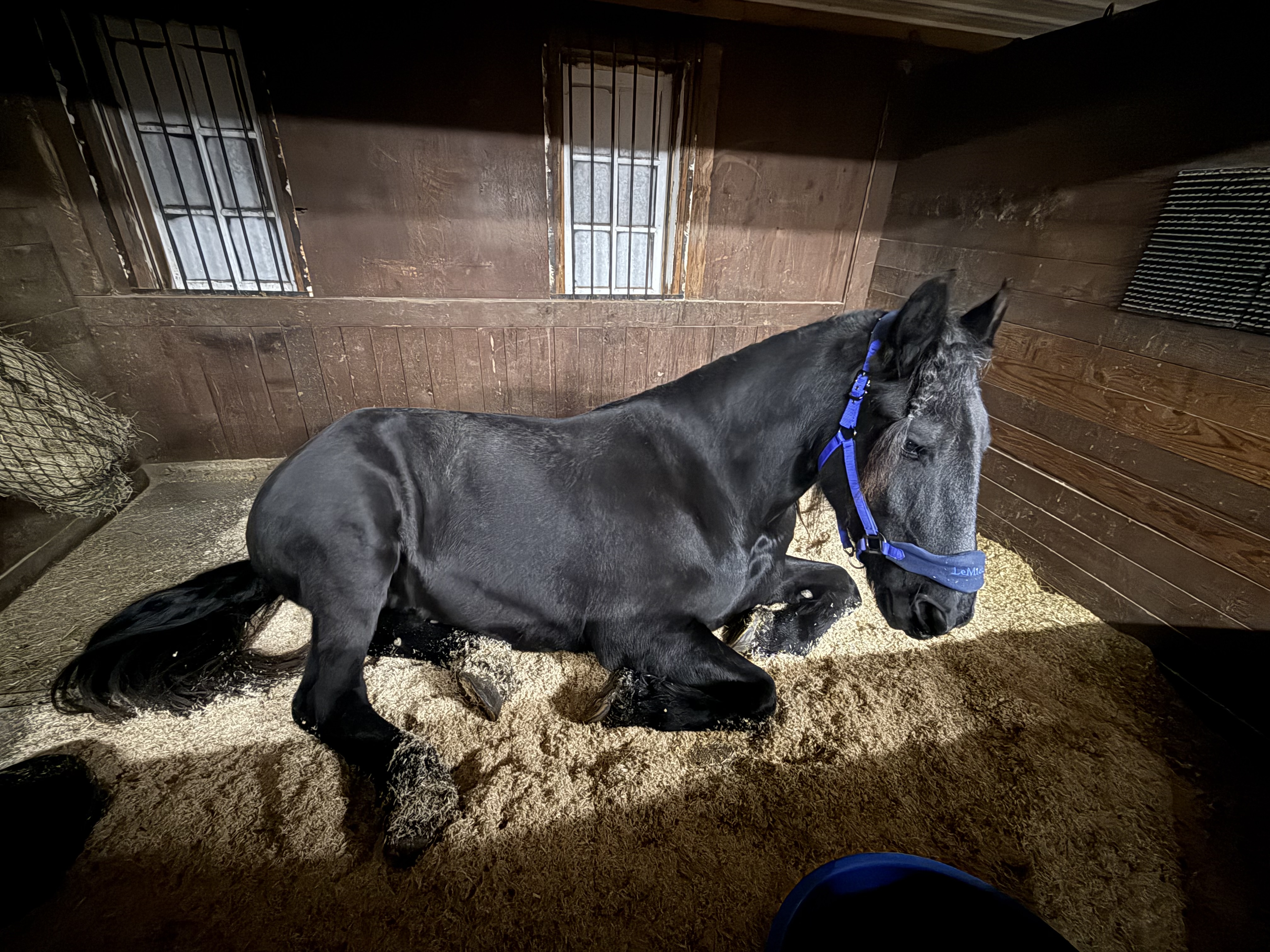 Stall