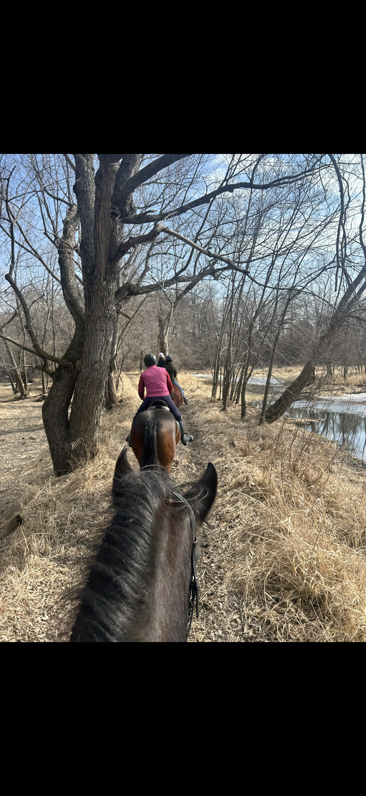 Trail system