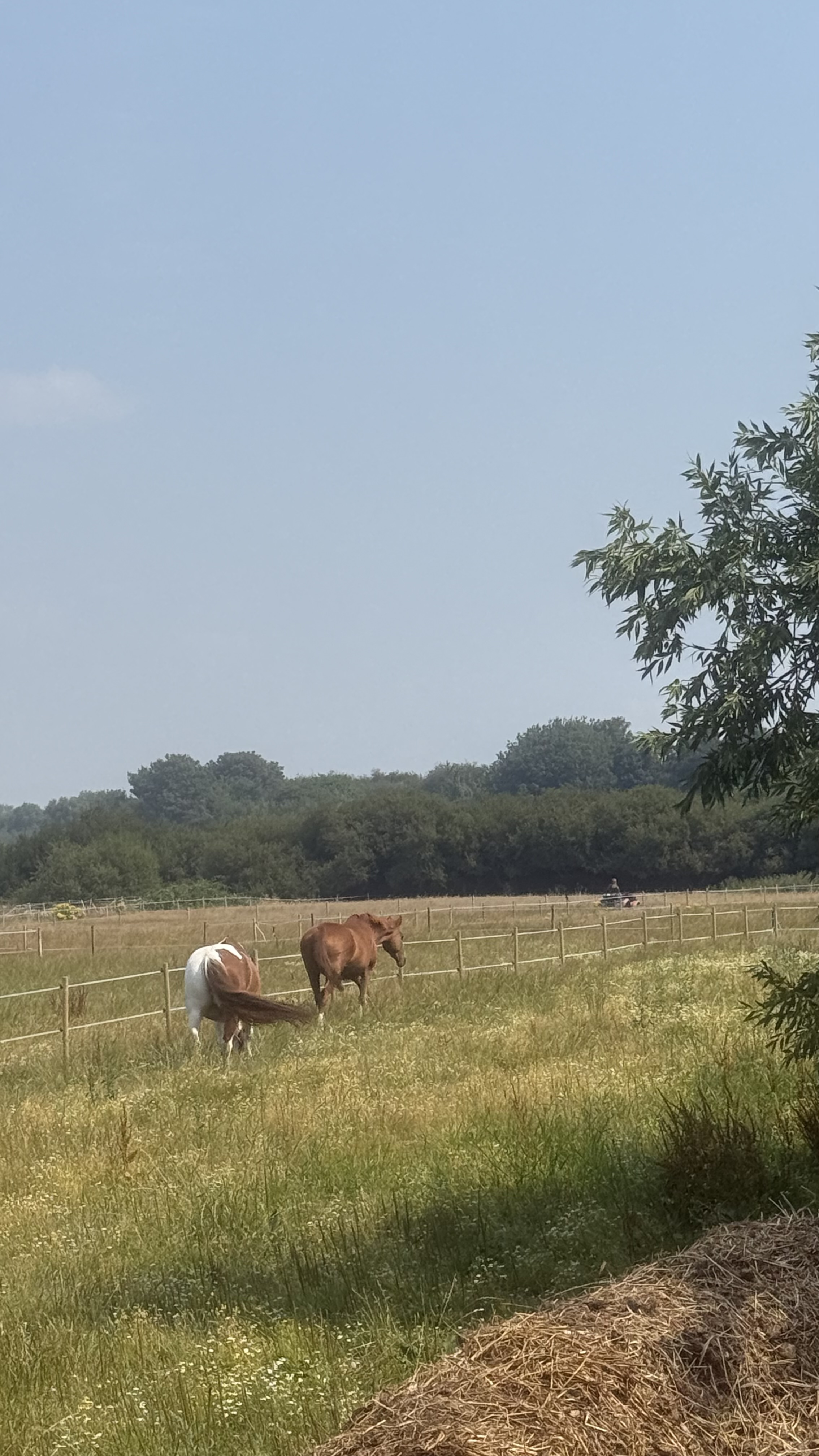 Looking out across the fields