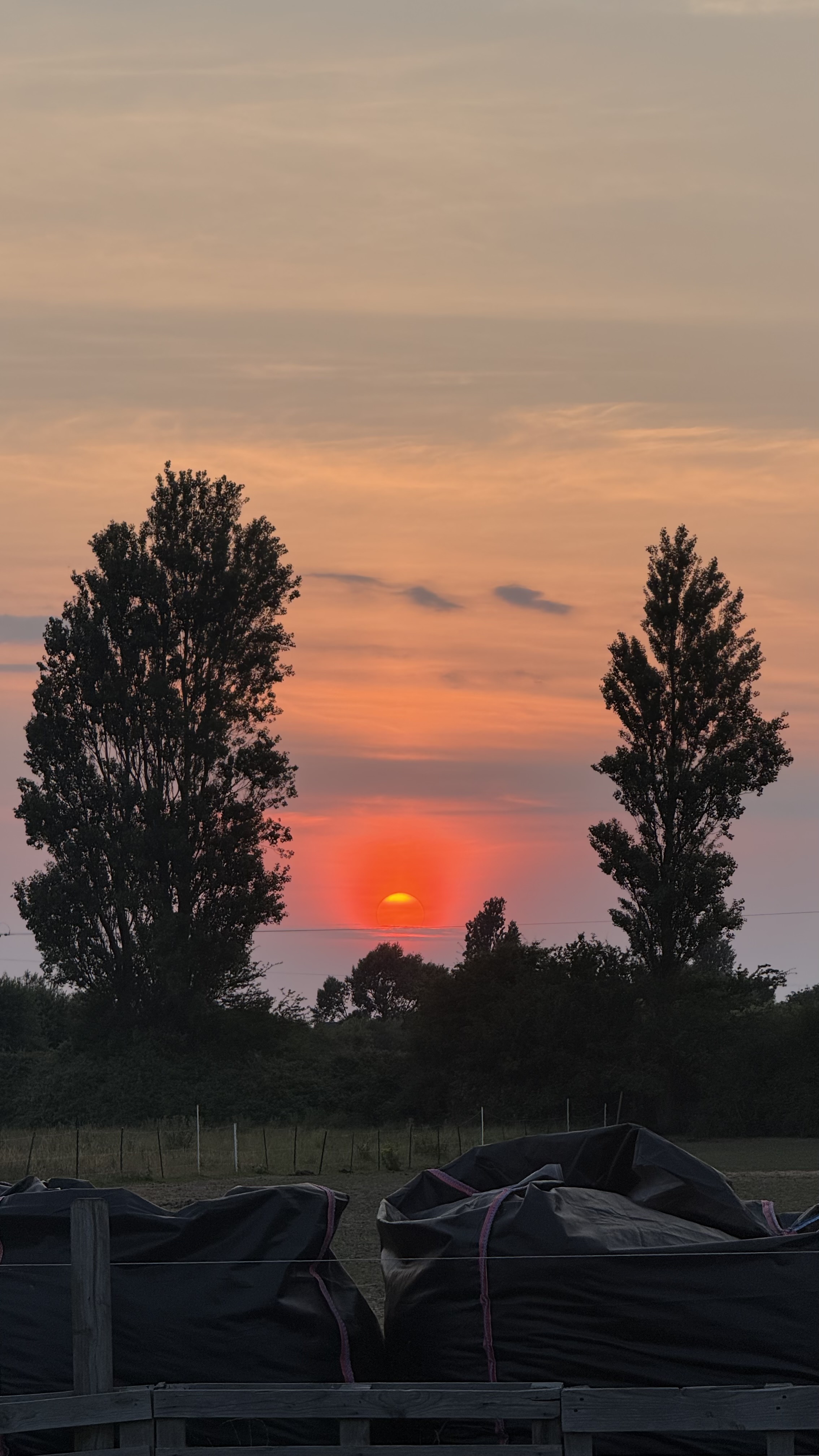 🌅