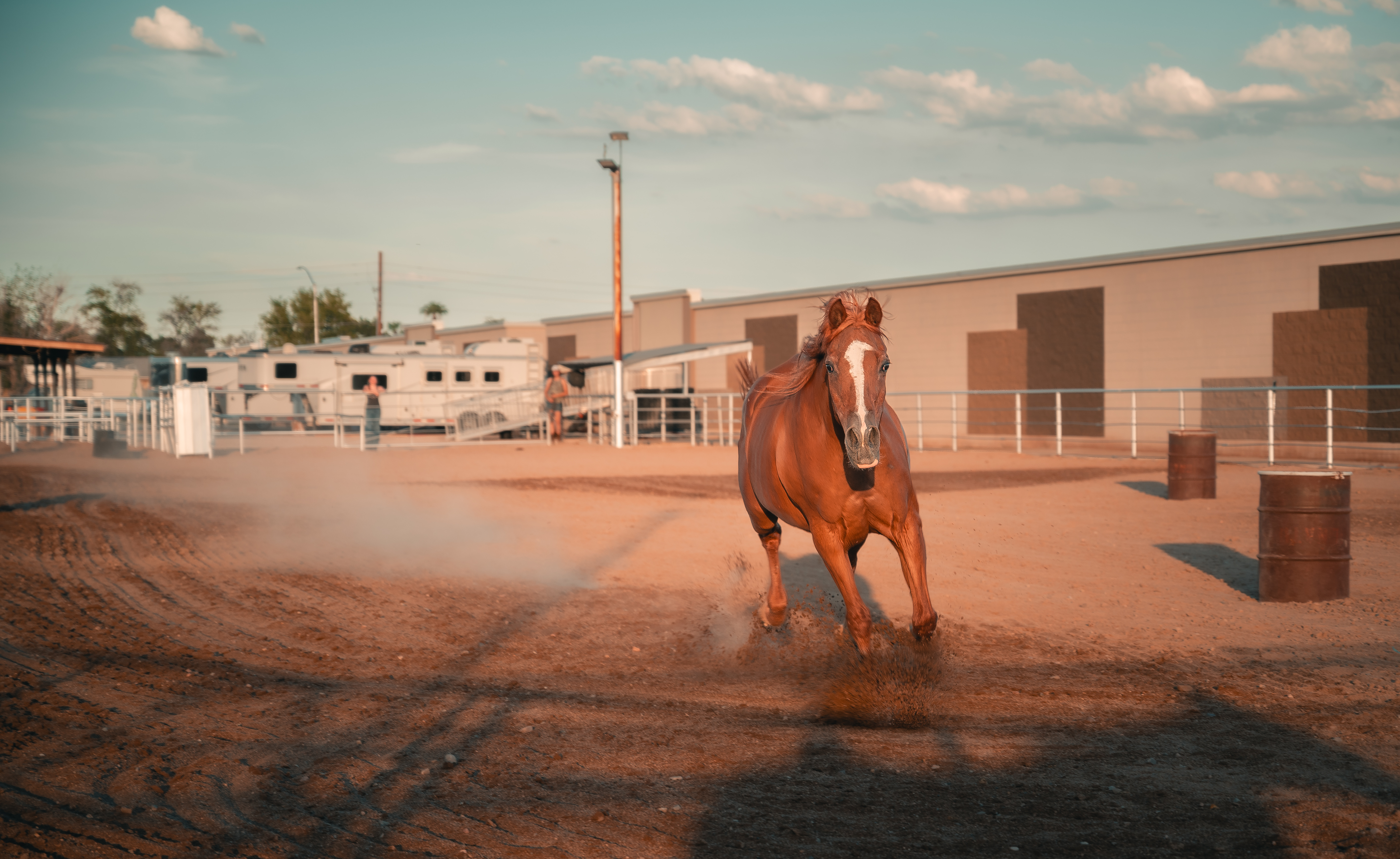 100’ x 200’ arena for turnout and riding