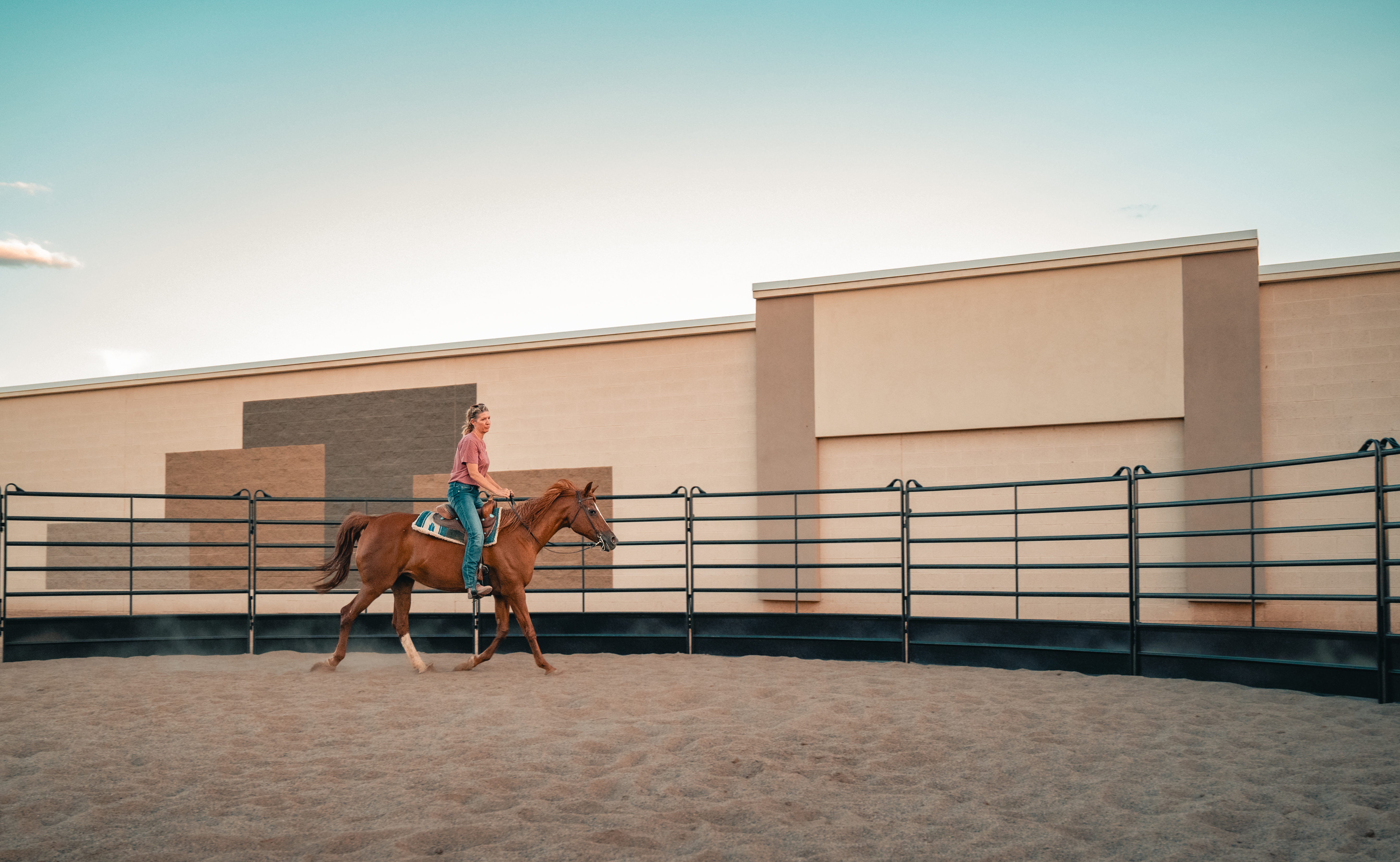 Premium 50’ round pen