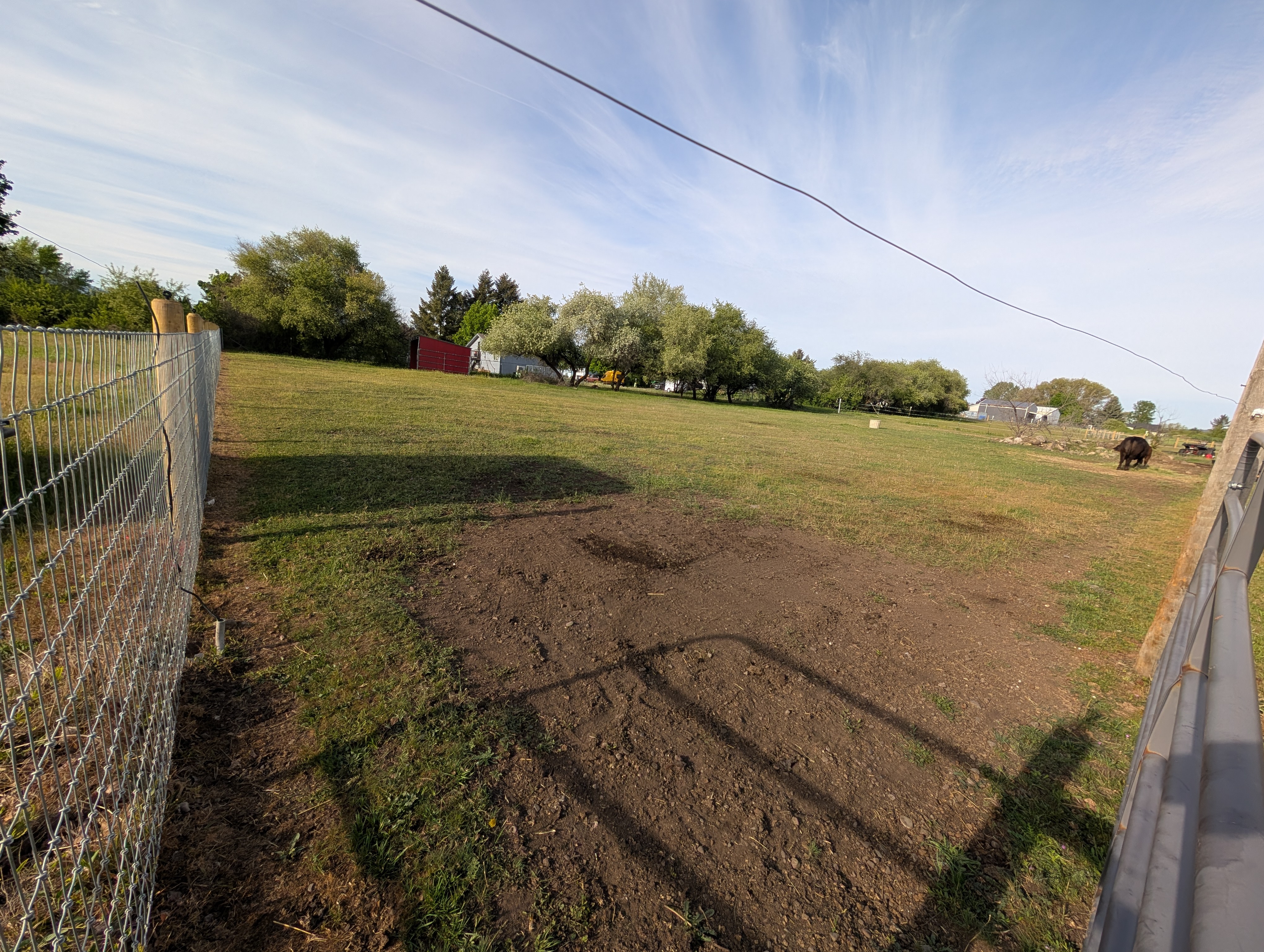 Available paddock shot 2
