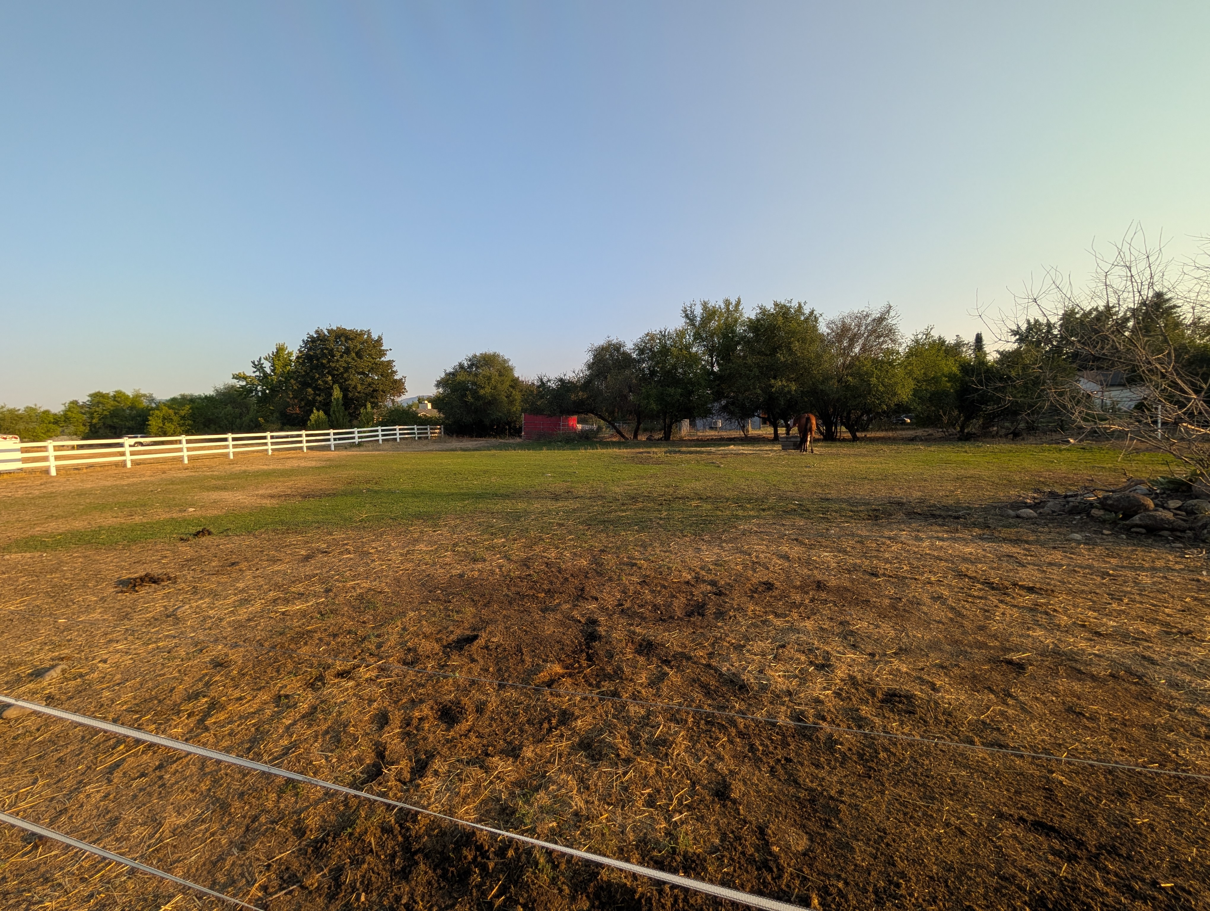 Available paddock shot 1